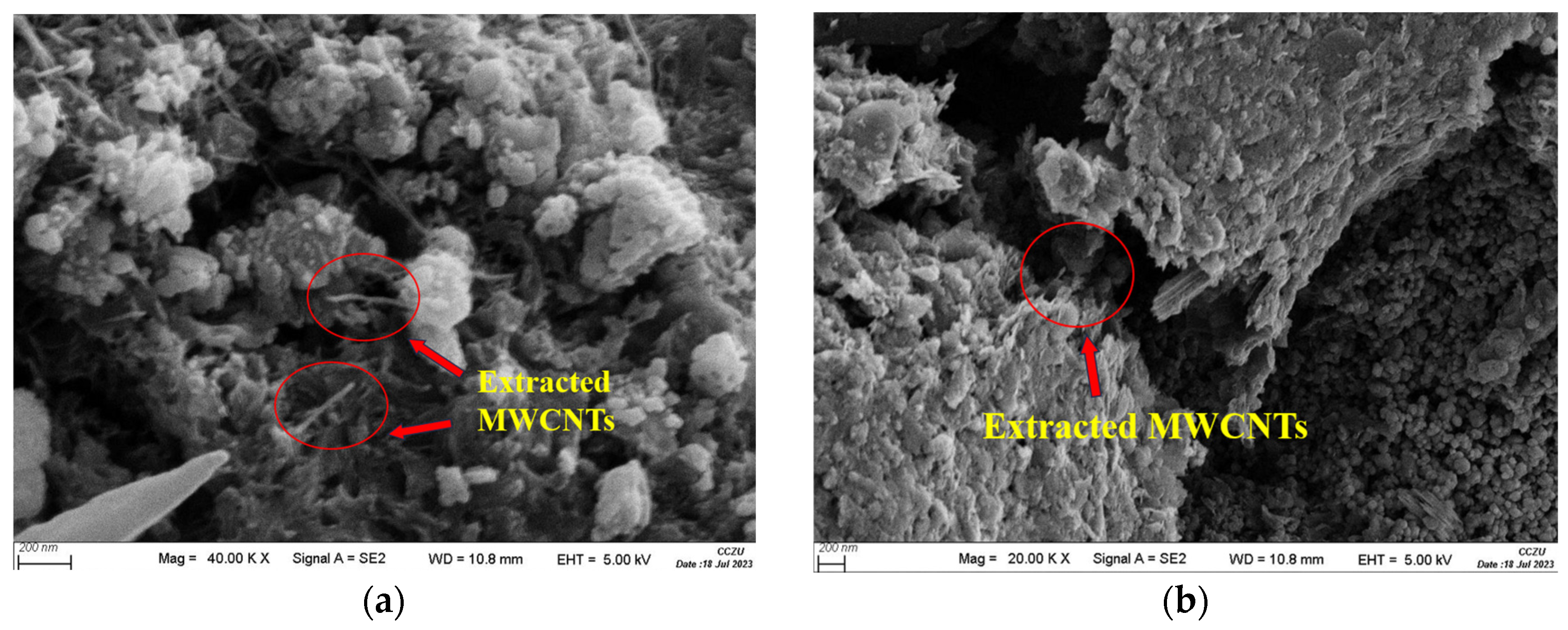 Sustainability 16 02084 g012