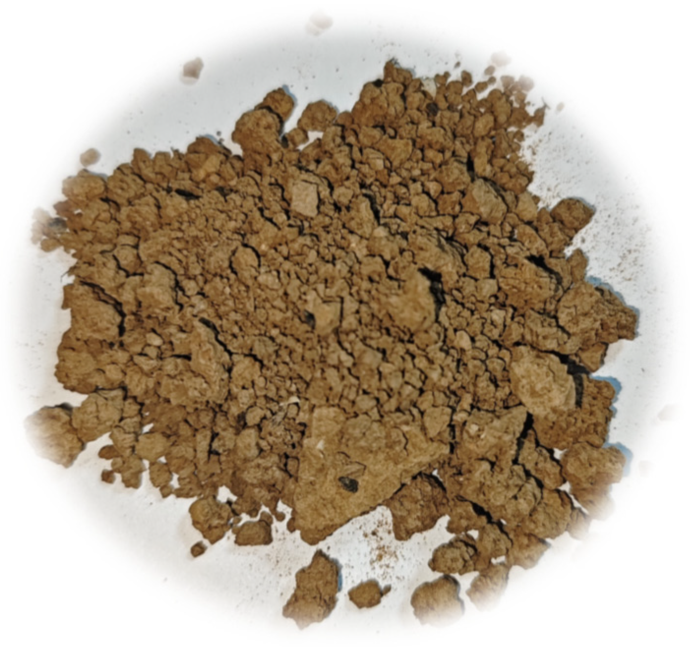 Sustainability 16 02308 g001