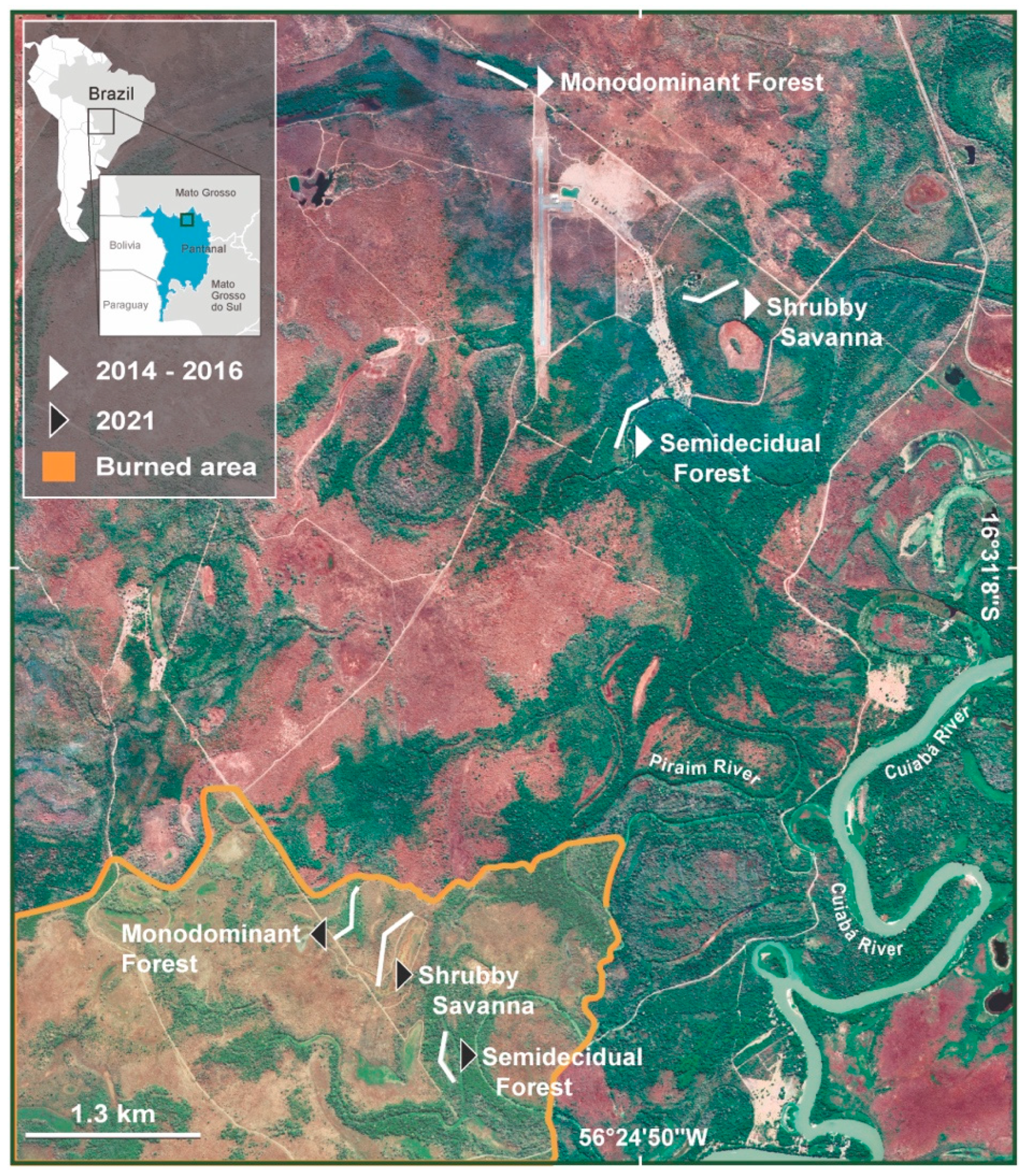 Sustainability 16 02321 g001