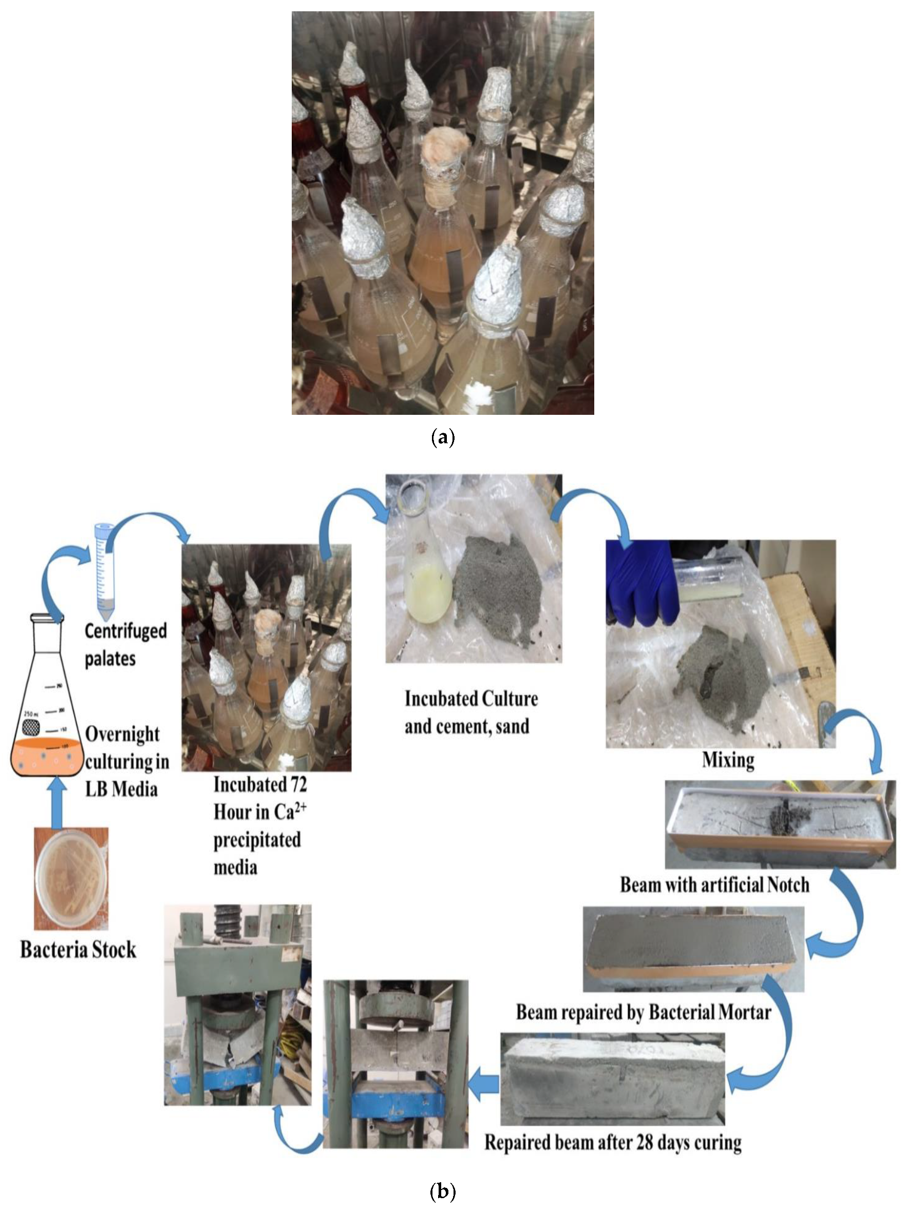 Sustainability 16 02723 g003