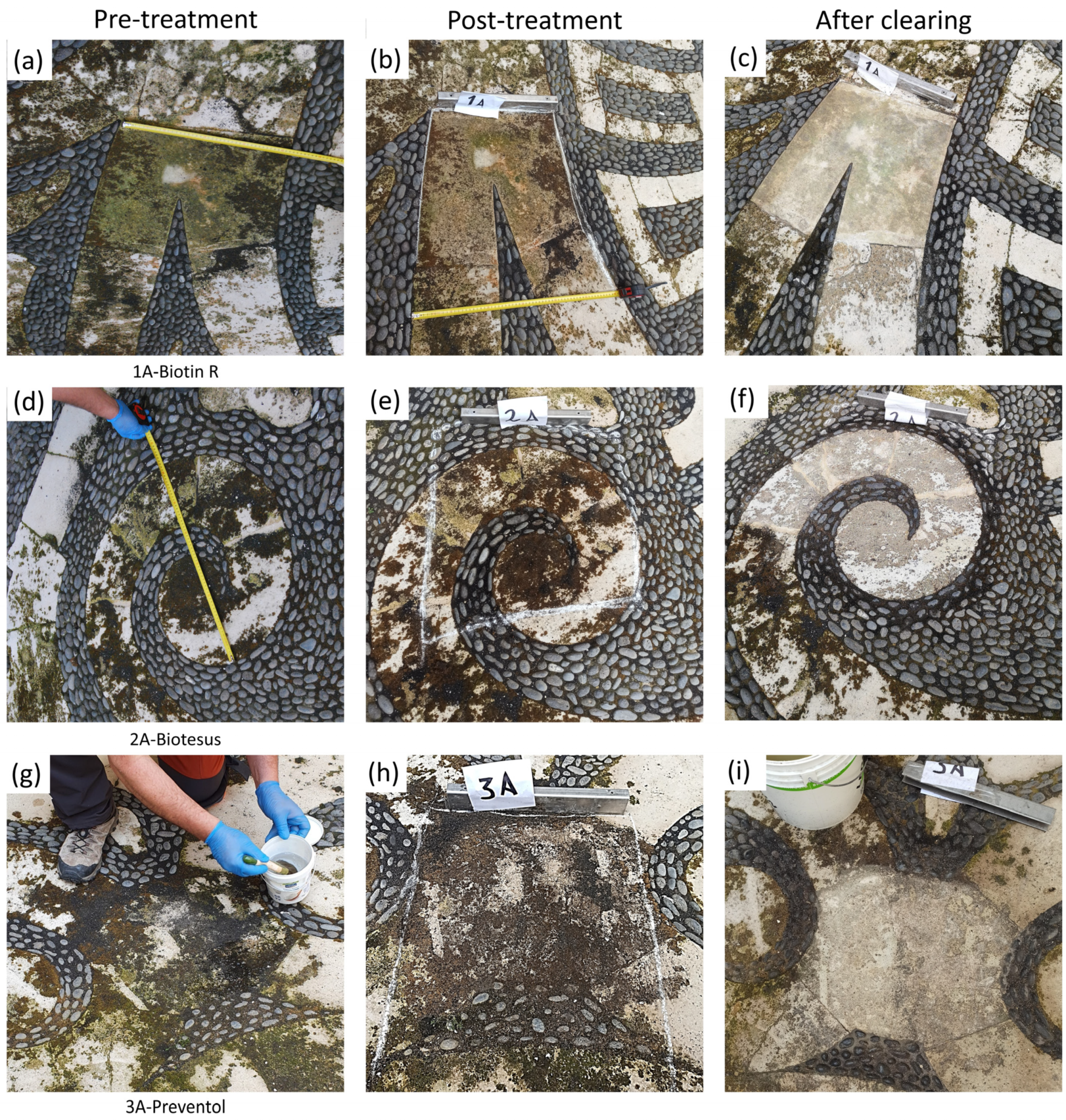 Sustainability 16 02948 g010