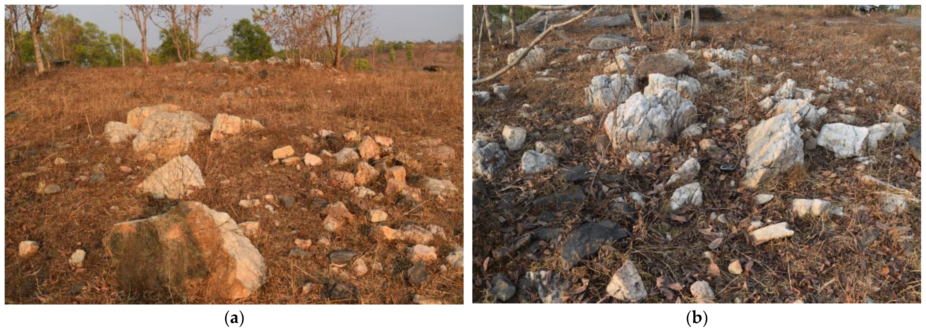 Sustainability 16 03467 g010