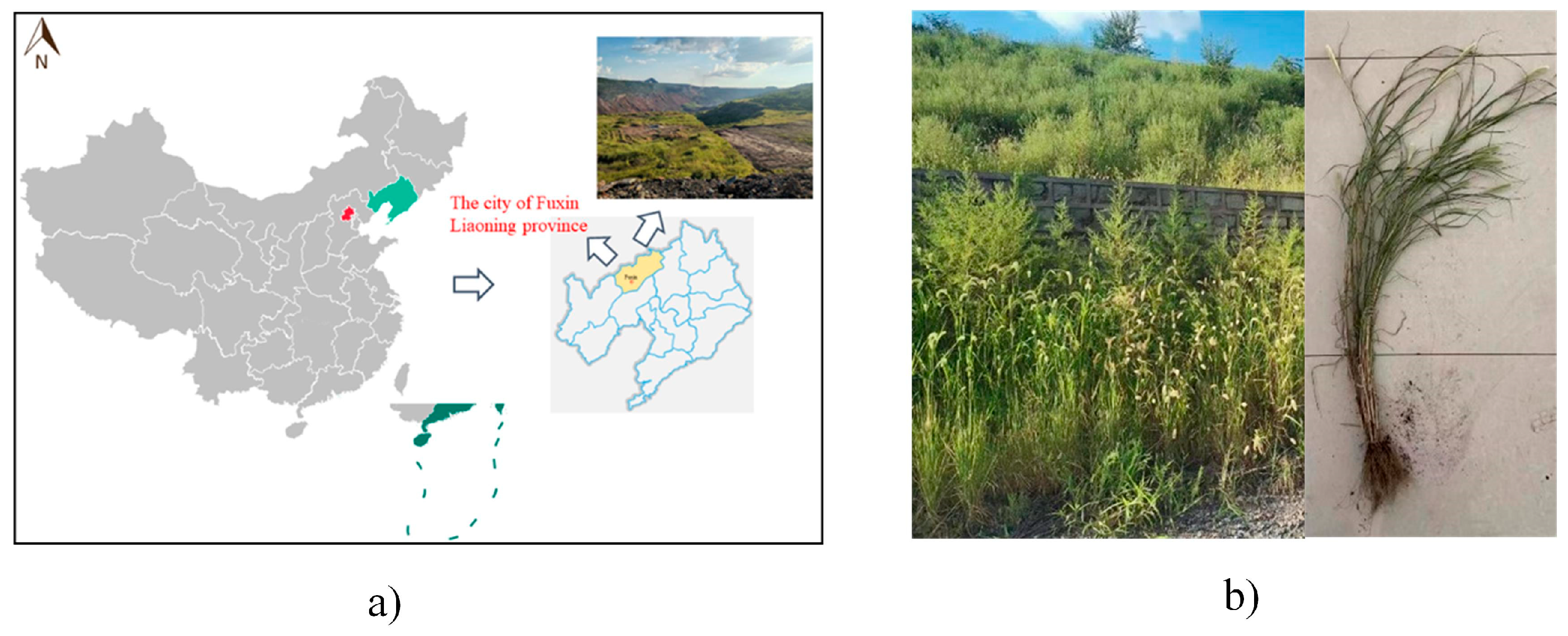 Sustainability 16 03475 g002