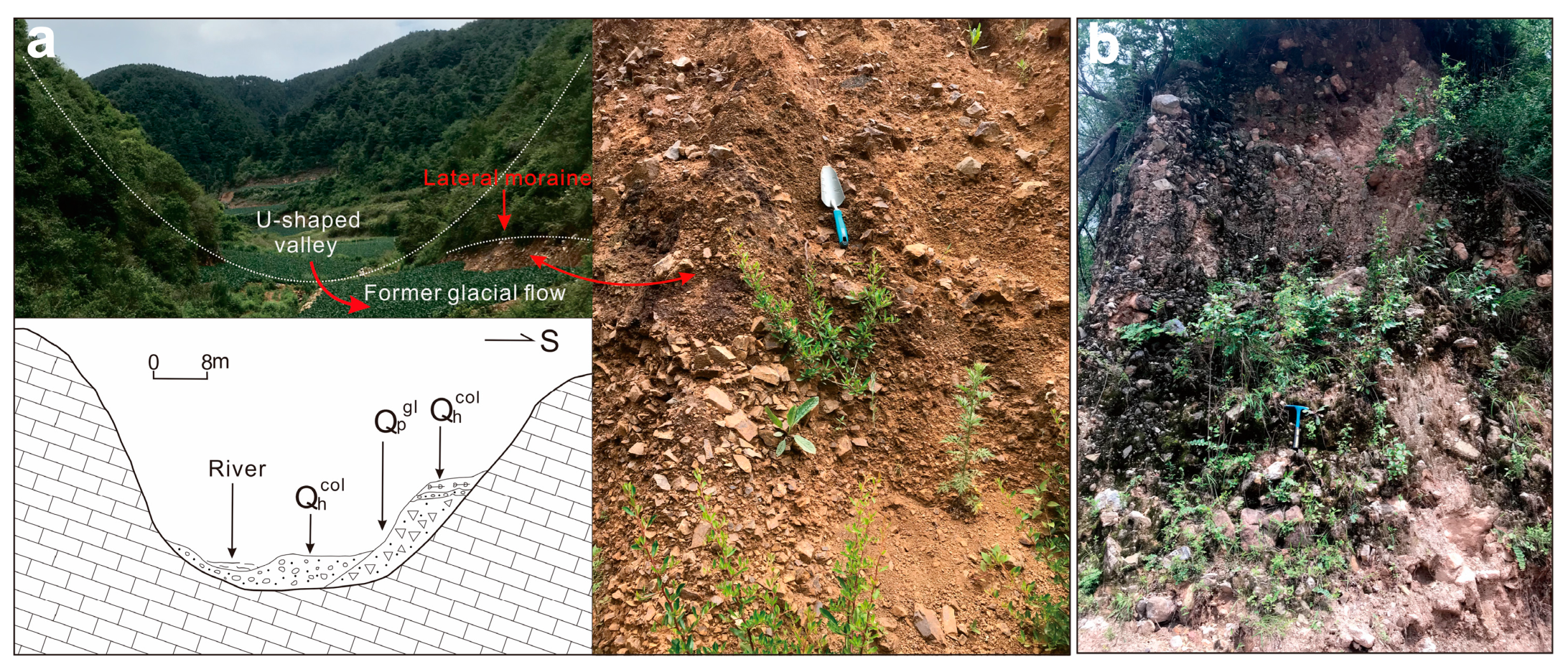 Sustainability 16 03492 g004