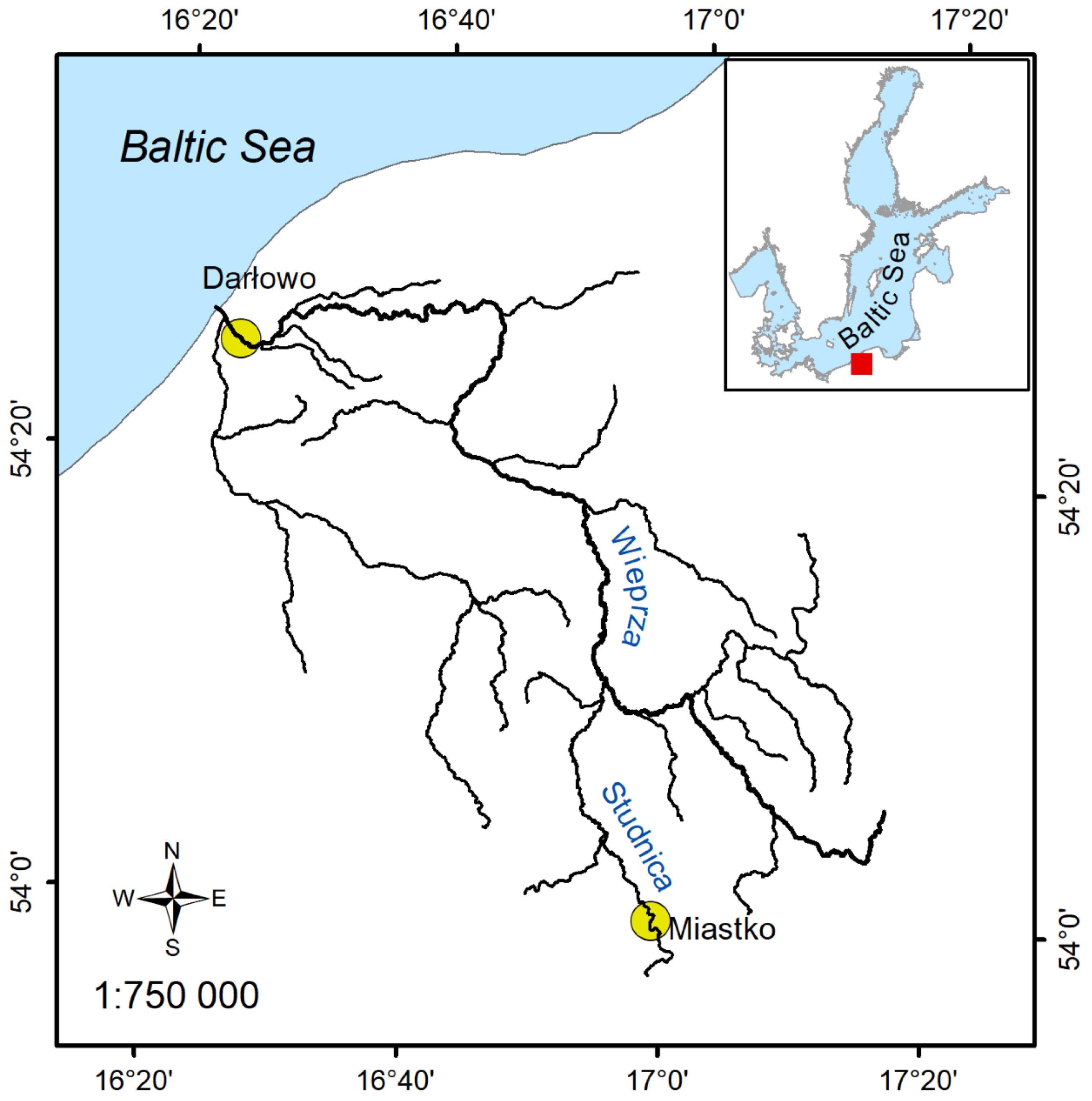 Sustainability 16 03532 g001