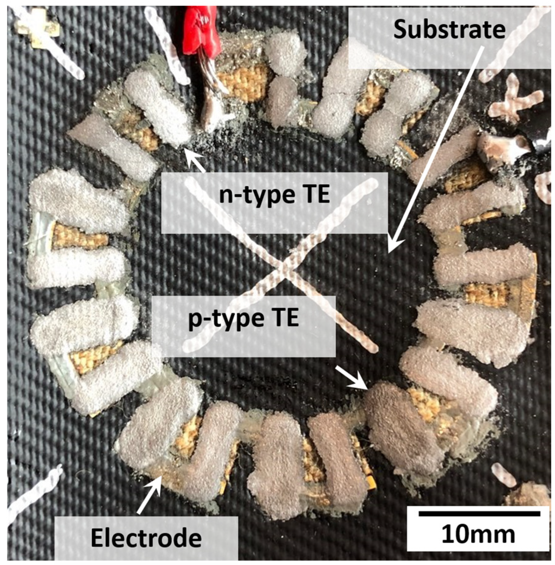 Sustainability 16 03560 g001