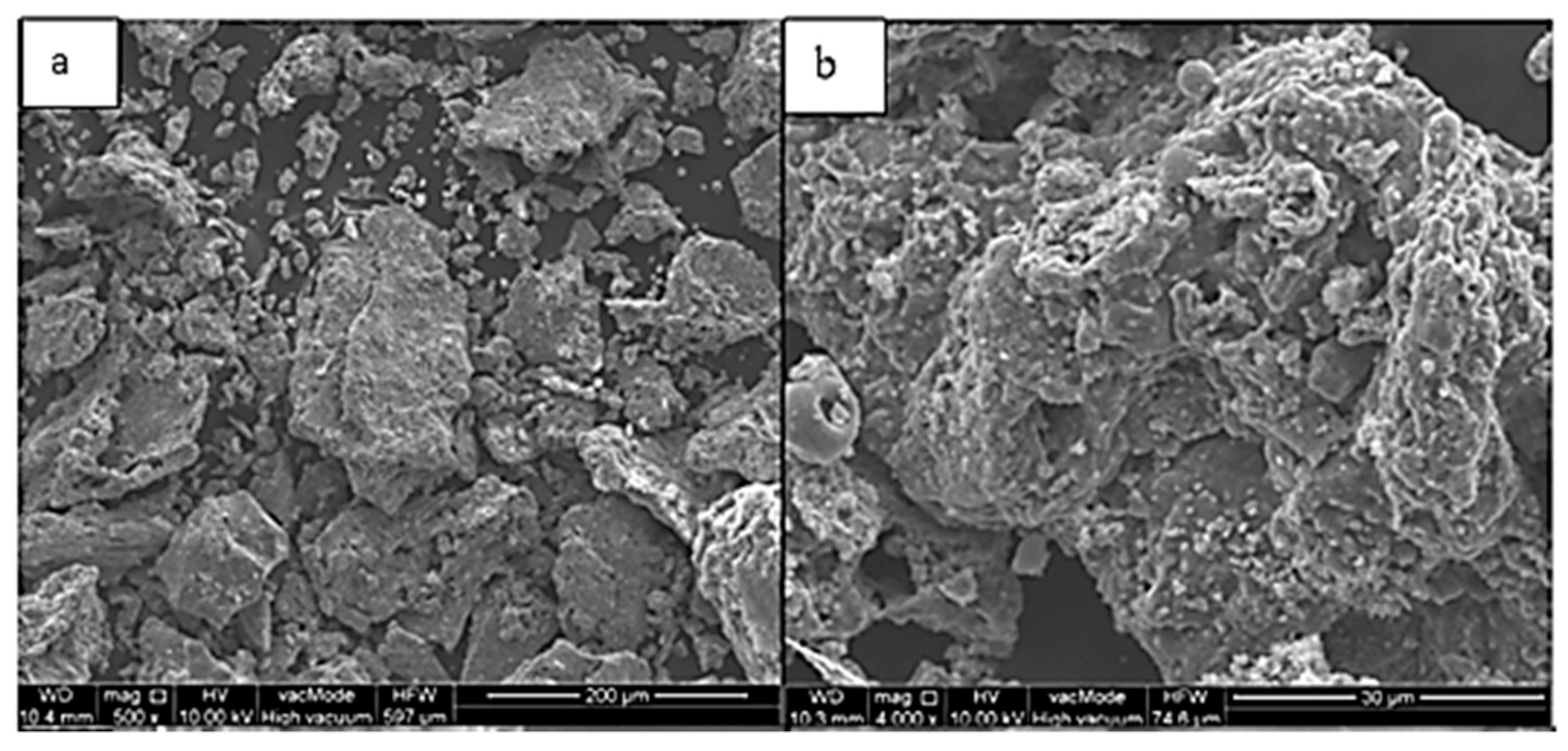 Sustainability 16 03735 g006