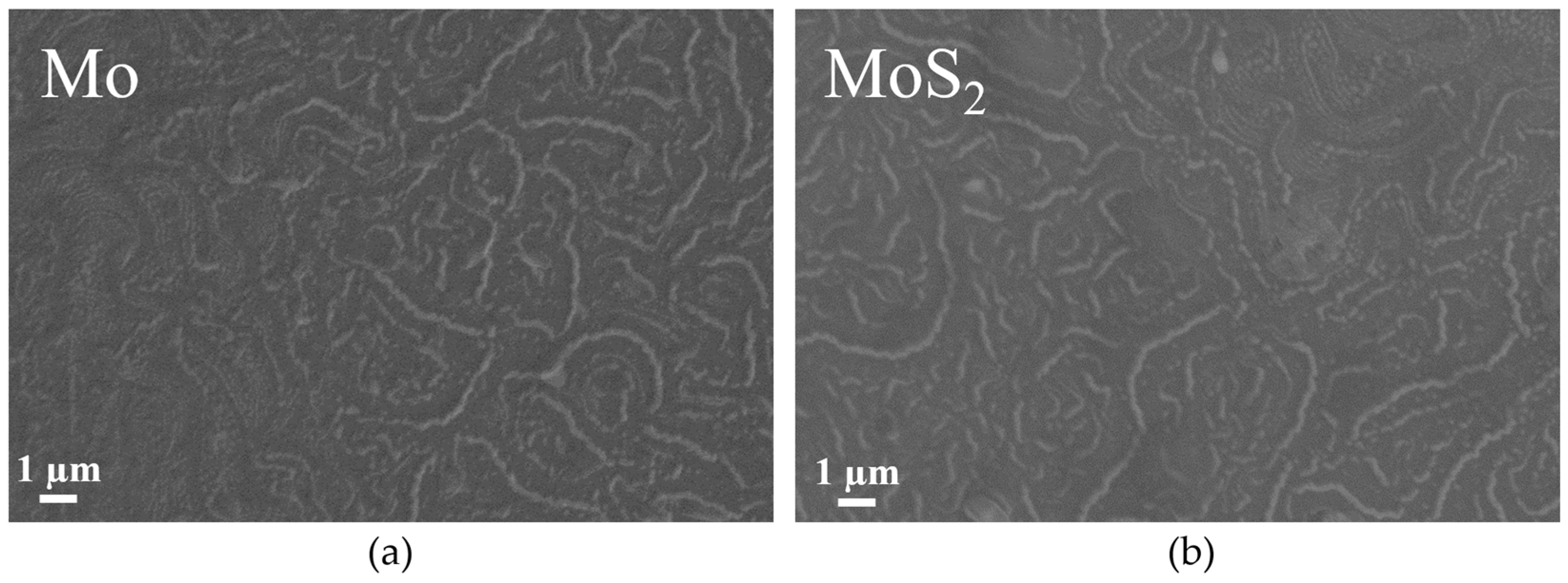 Sustainability 16 03819 g005