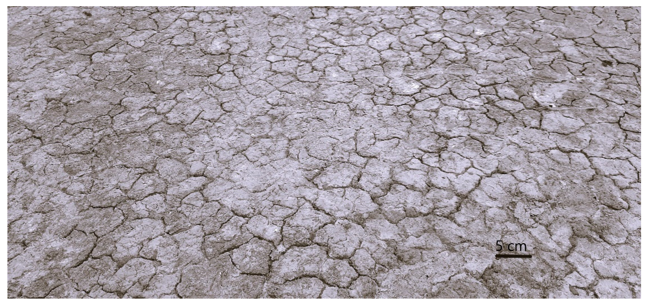 Sustainability 16 03853 g001