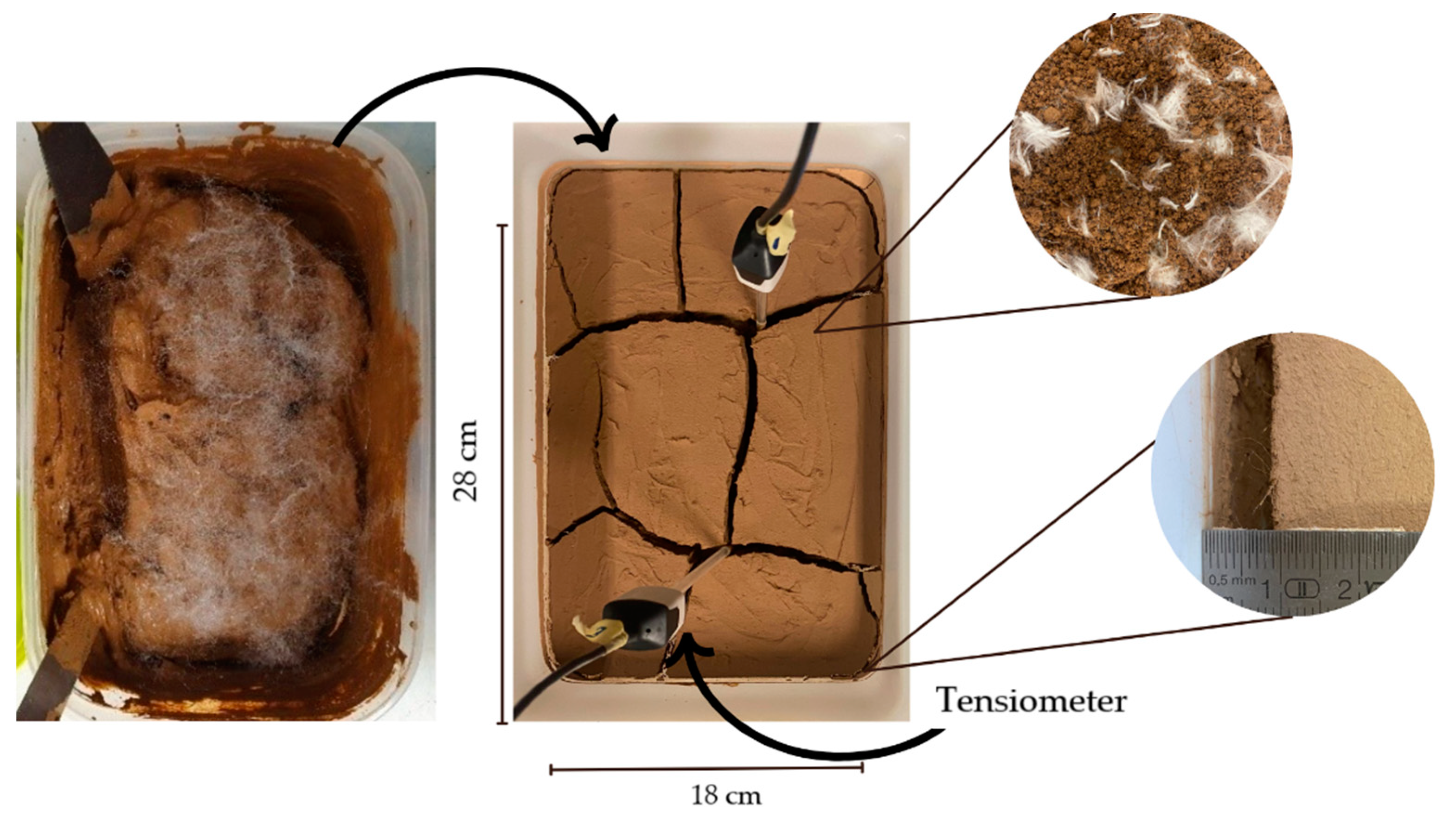 Sustainability 16 03853 g004