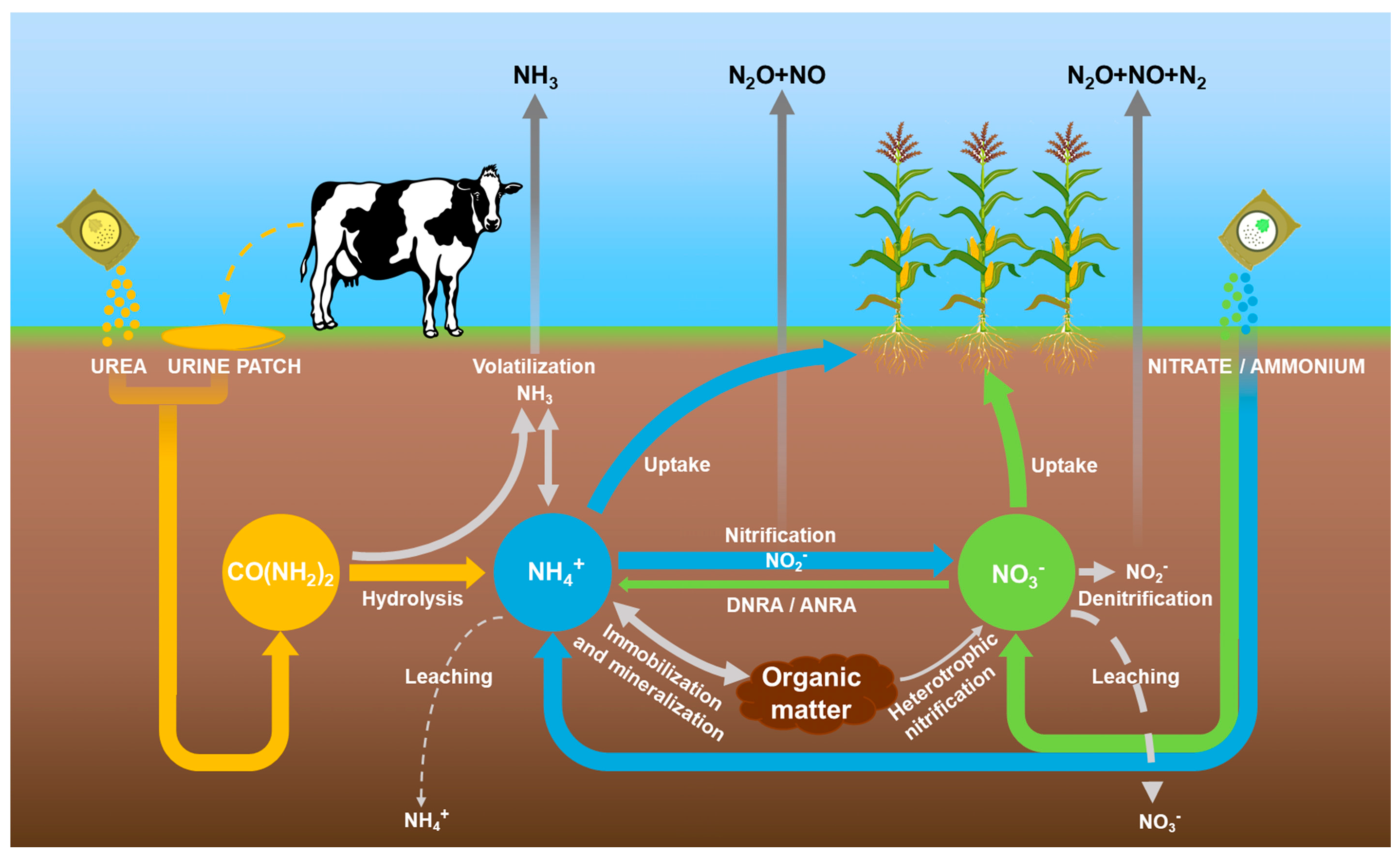 Sustainability 16 03906 g001