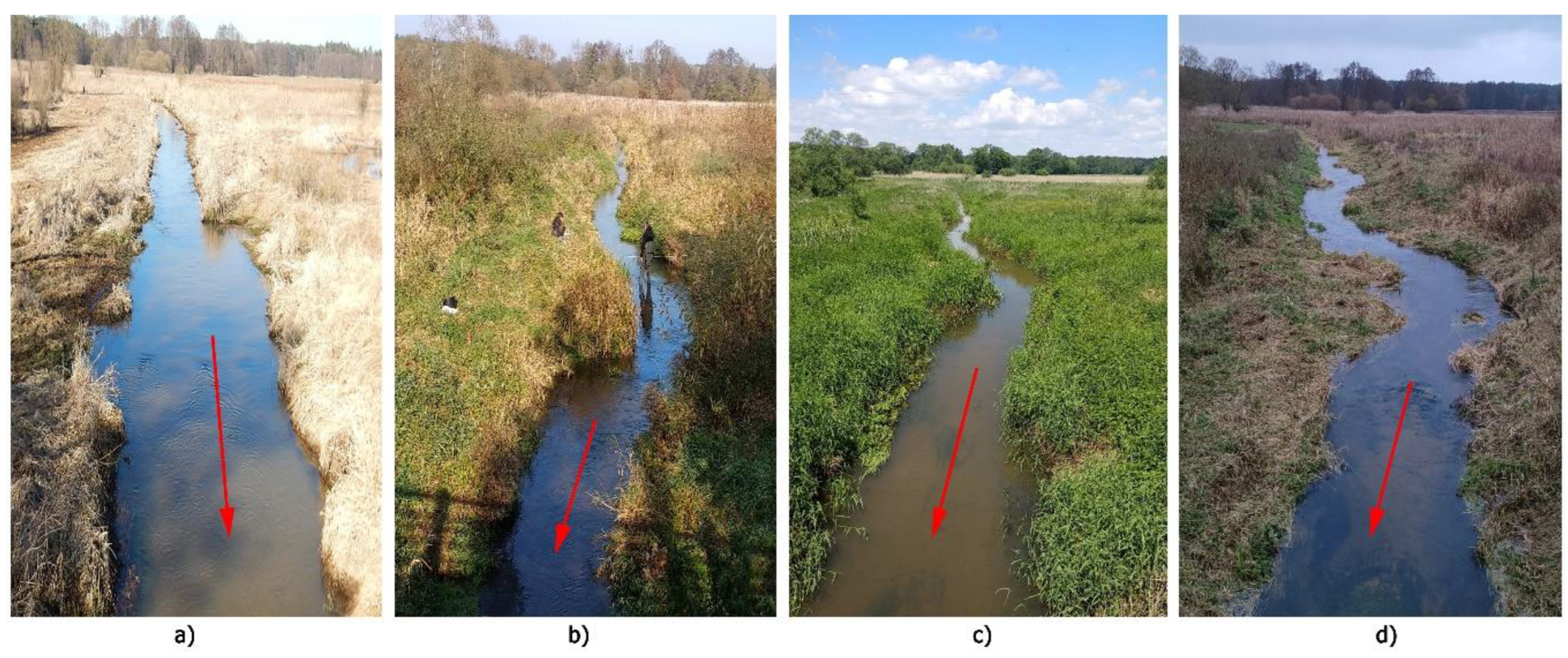 Sustainability 16 03948 g005