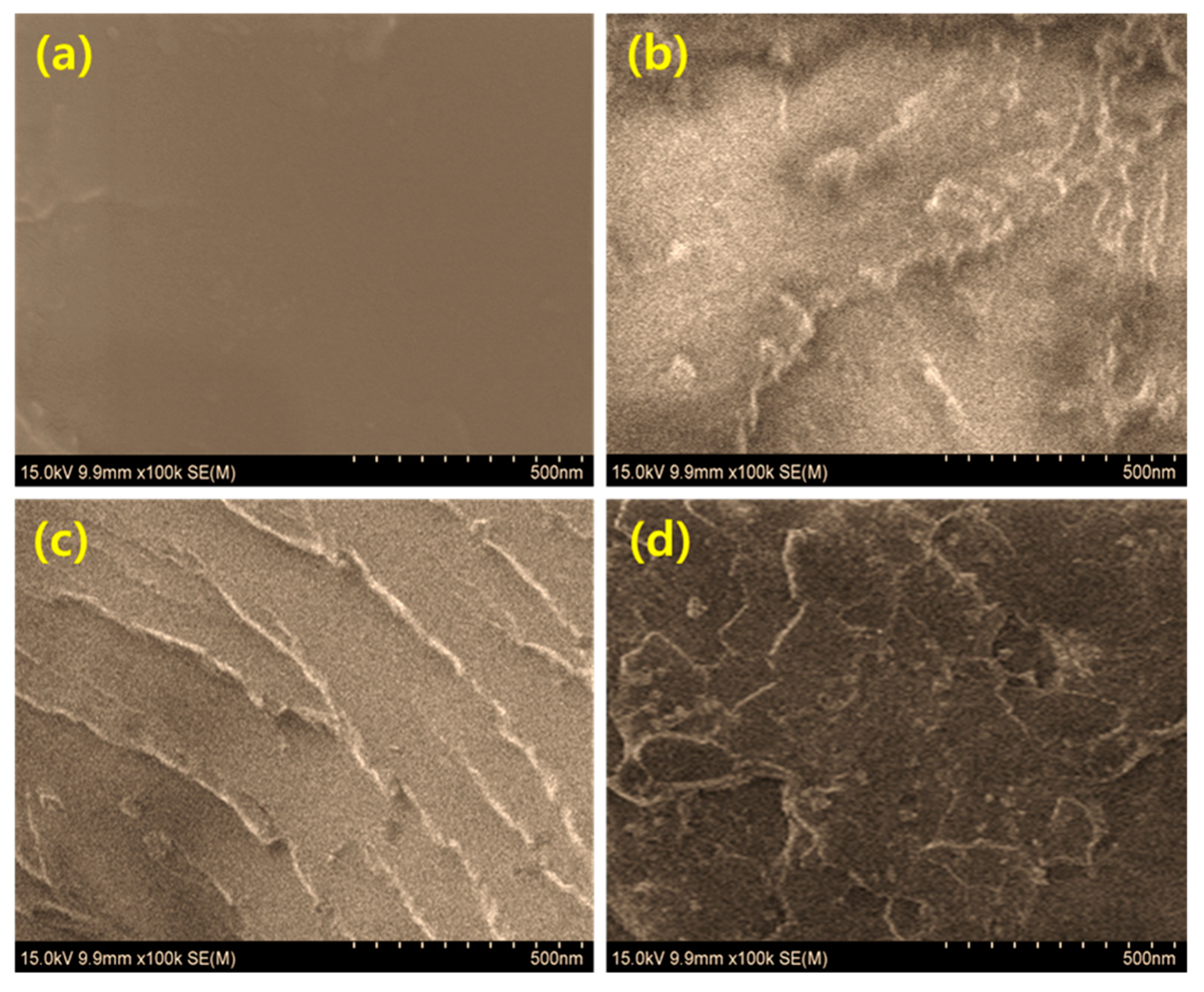 Sustainability 16 03991 g006