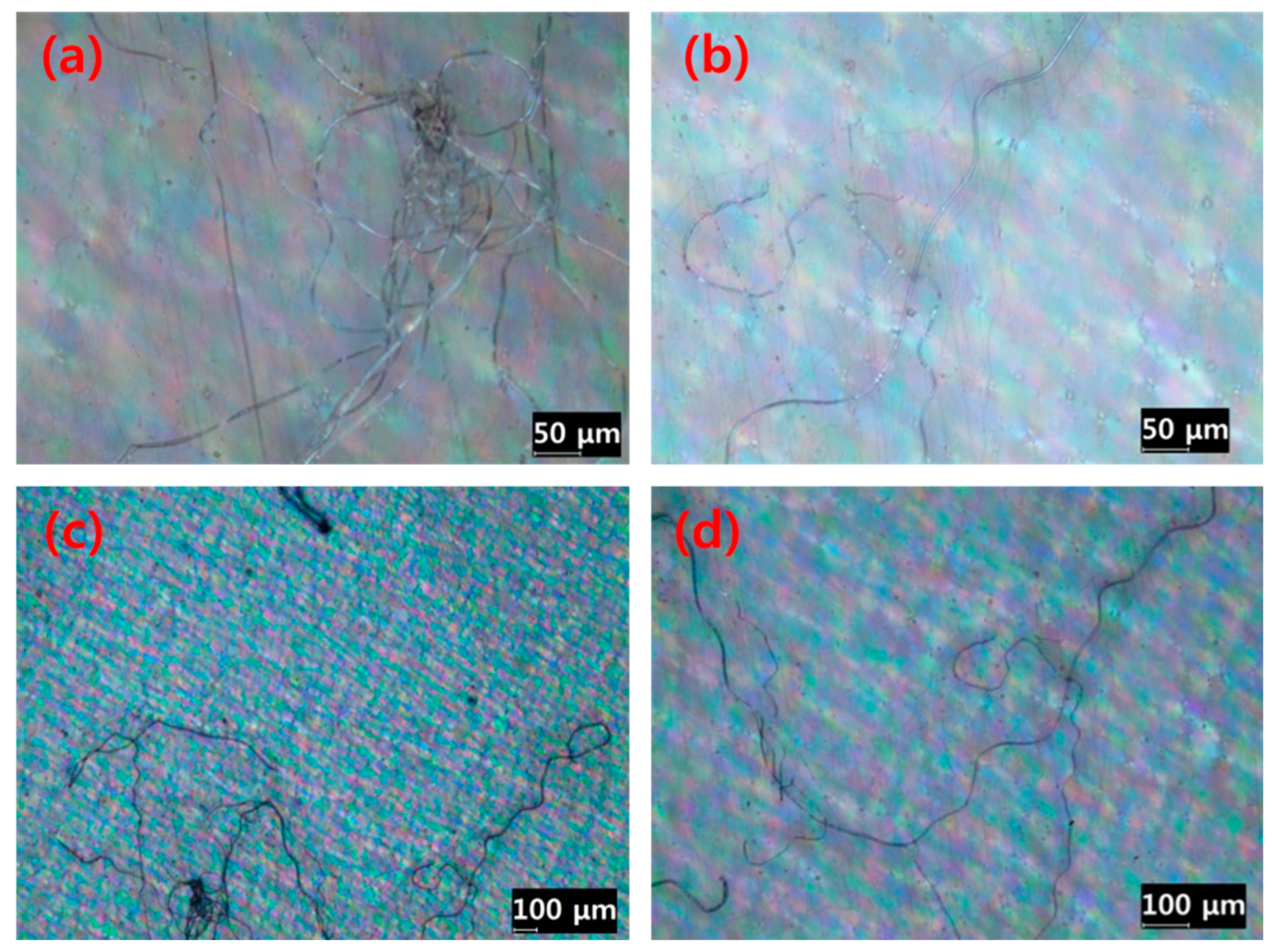 Sustainability 16 03991 g008