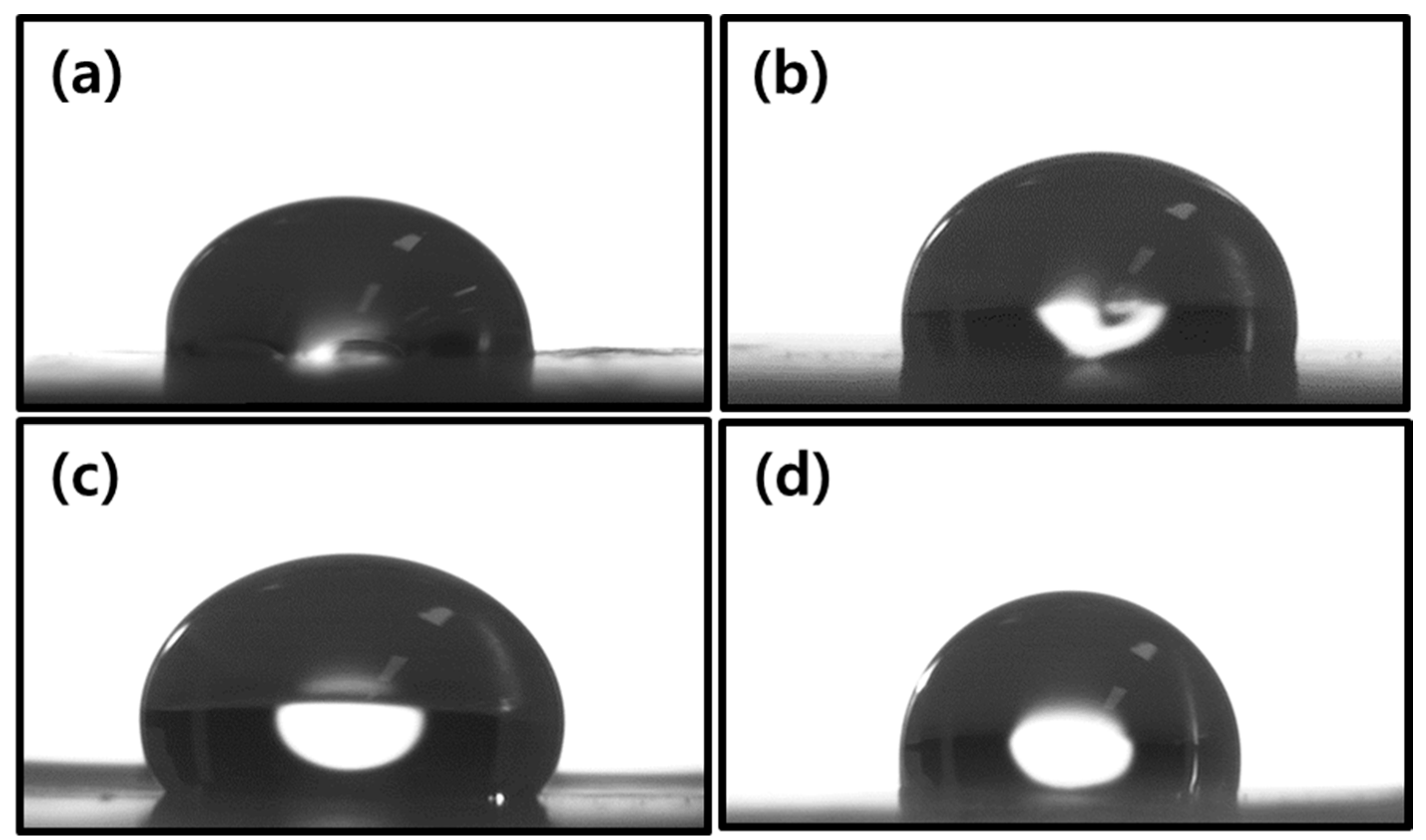 Sustainability 16 03991 g009