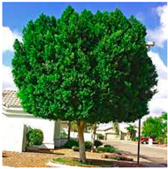 Sustainability 16 03995 i003