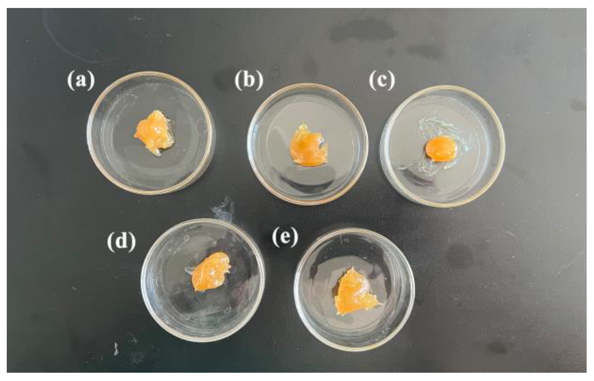 Sustainability 16 04149 g002
