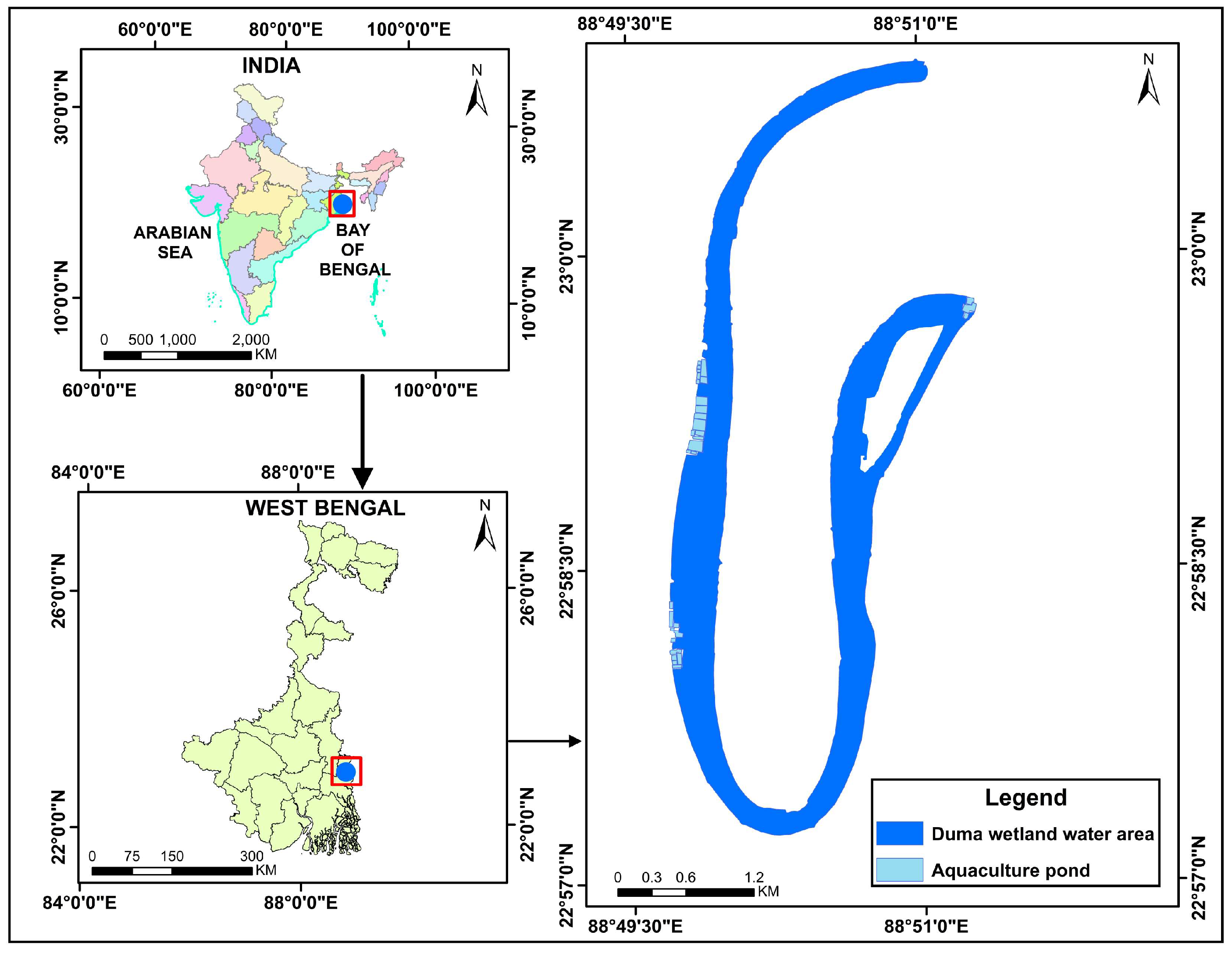 Sustainability 16 09583 g001