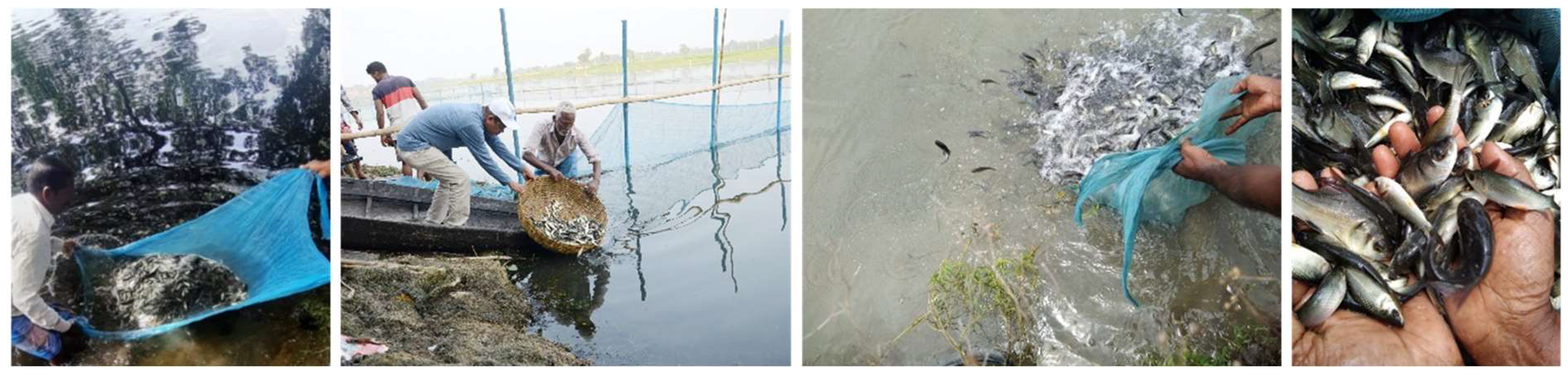 Sustainability 16 09583 g004