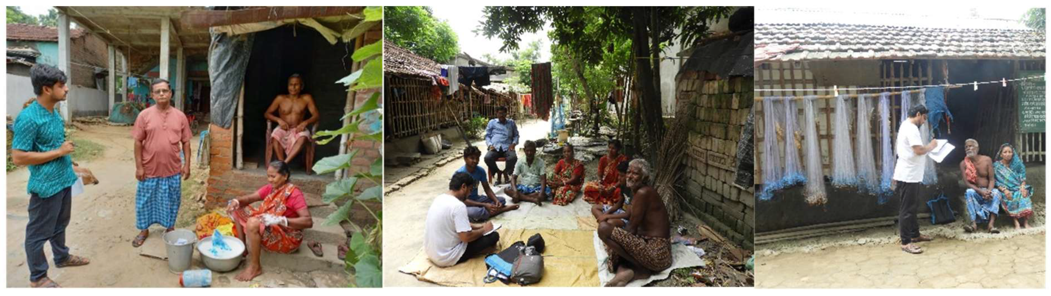 Sustainability 16 09583 g005