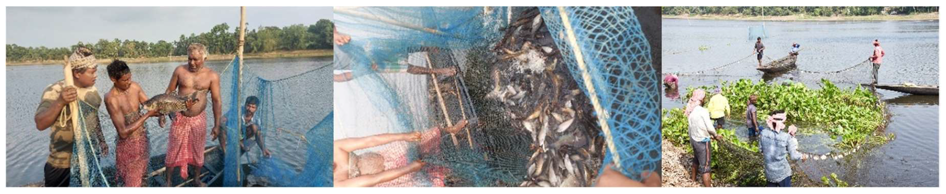 Sustainability 16 09583 g012