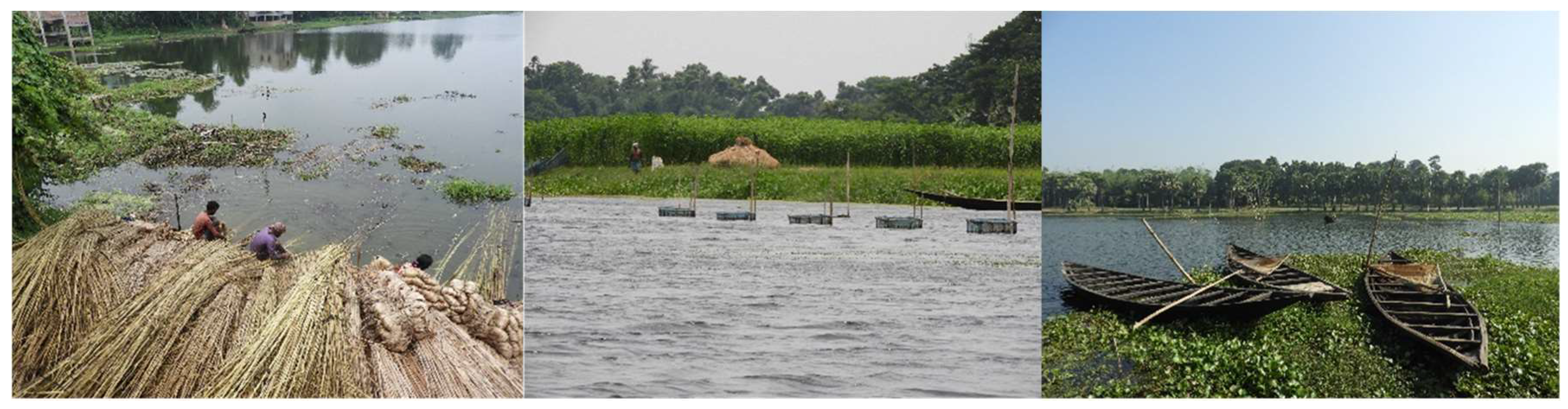 Sustainability 16 09583 g014