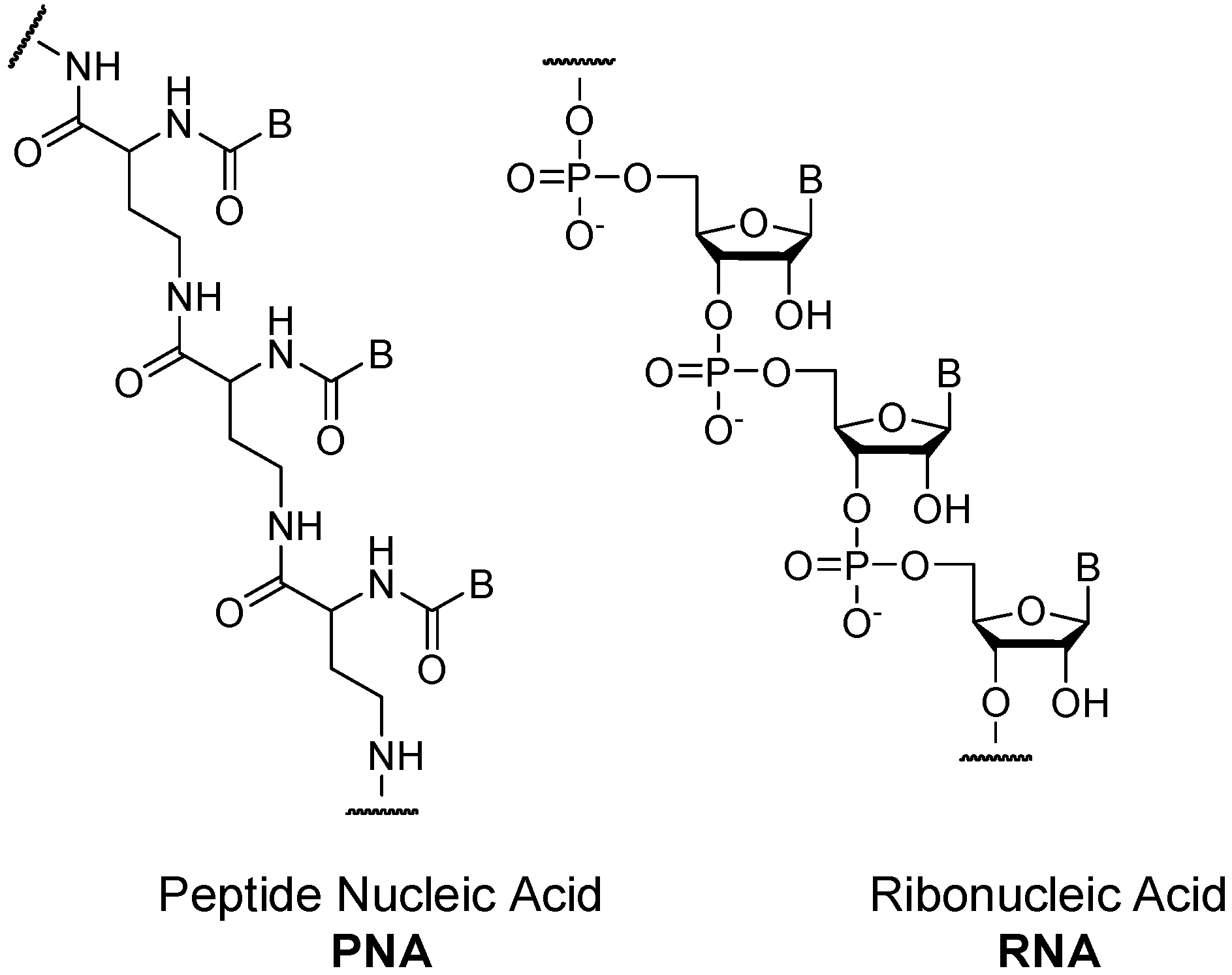 Symmetry 02 01055 g003