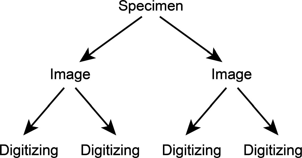 Symmetry 07 00843f15 1024