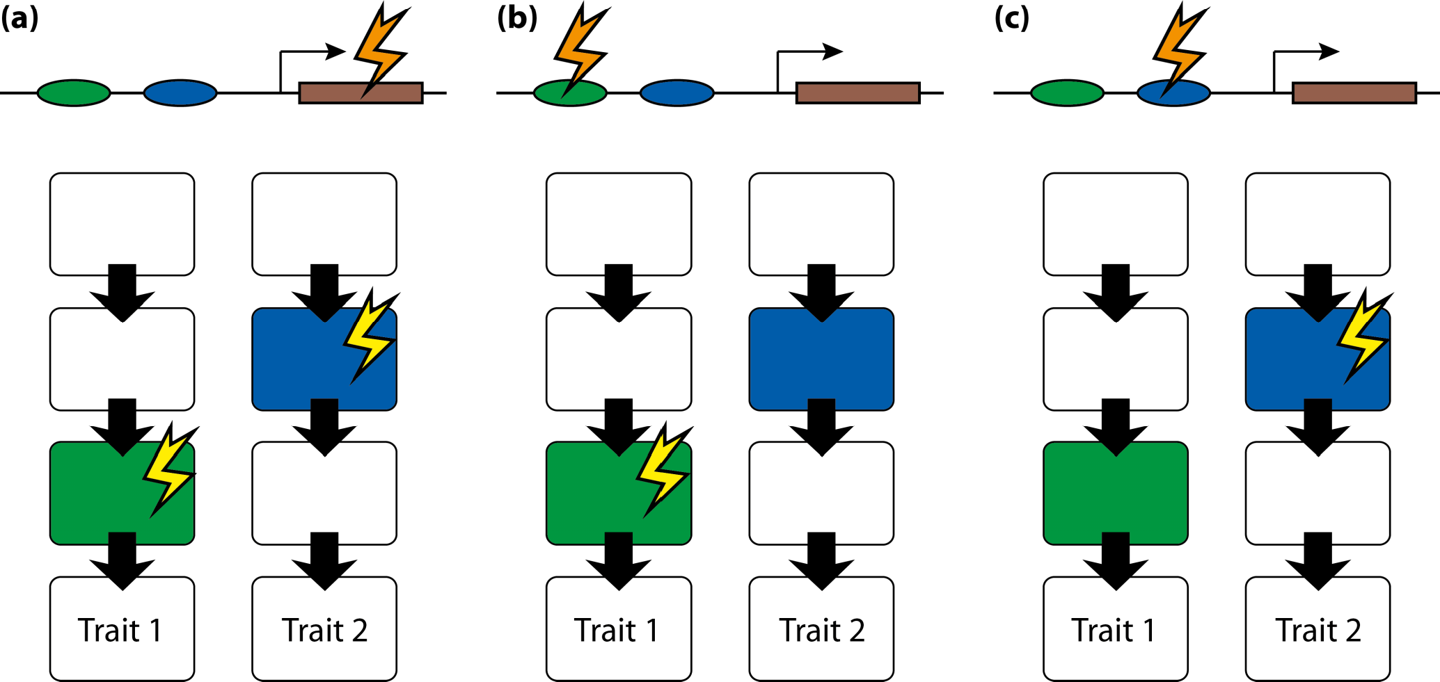 Symmetry 07 00843f19 1024