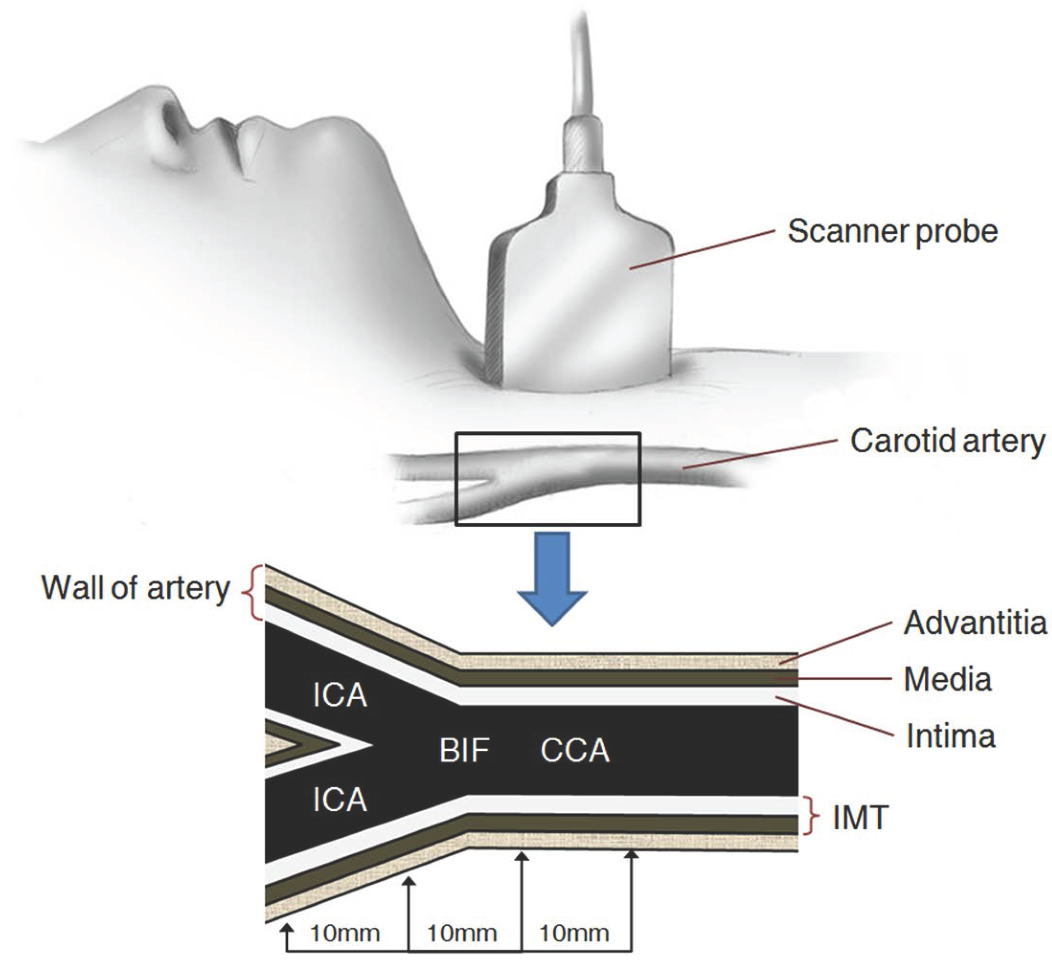 Symmetry 08 00047 g001