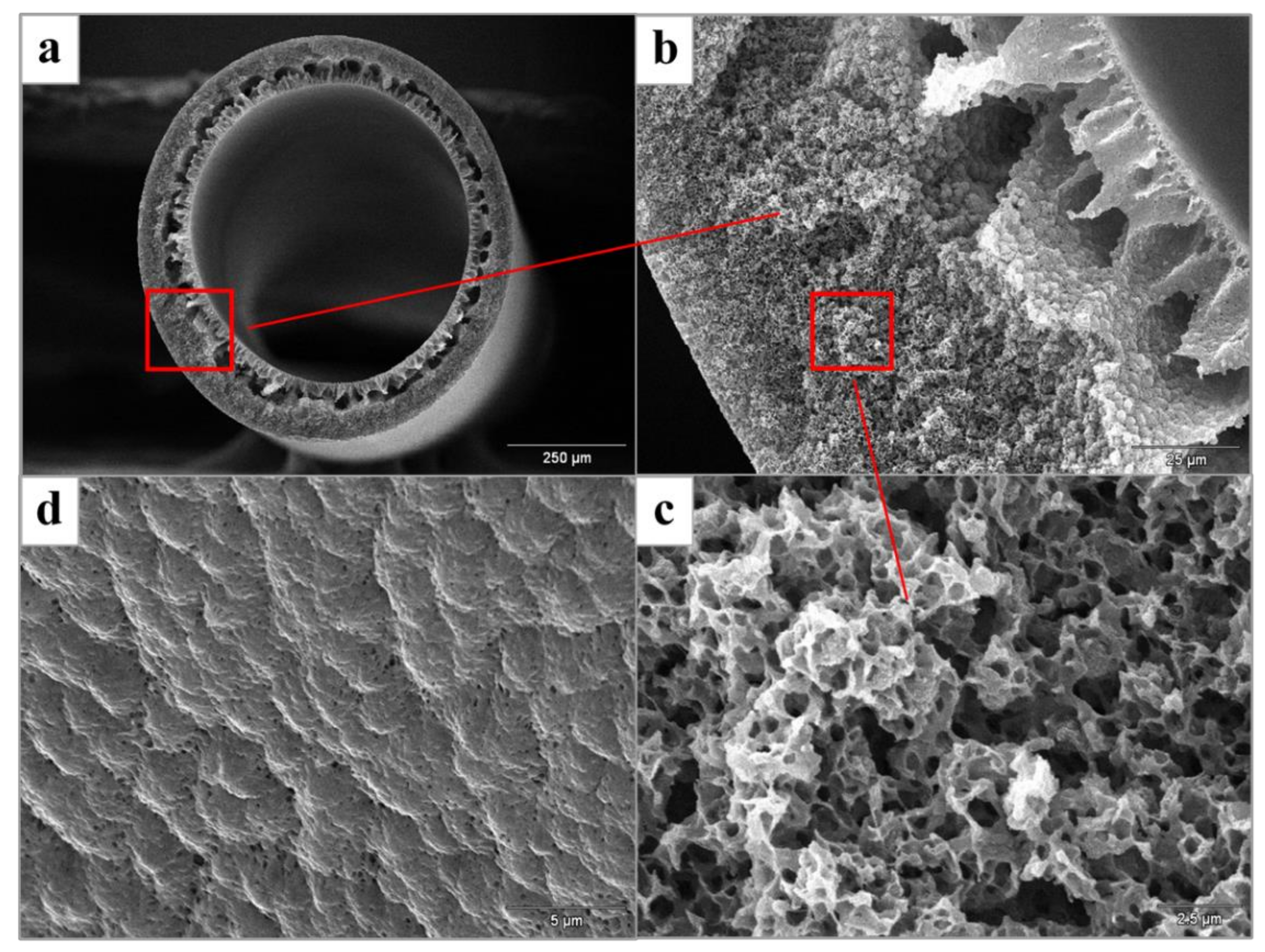Symmetry 11 00126 g002