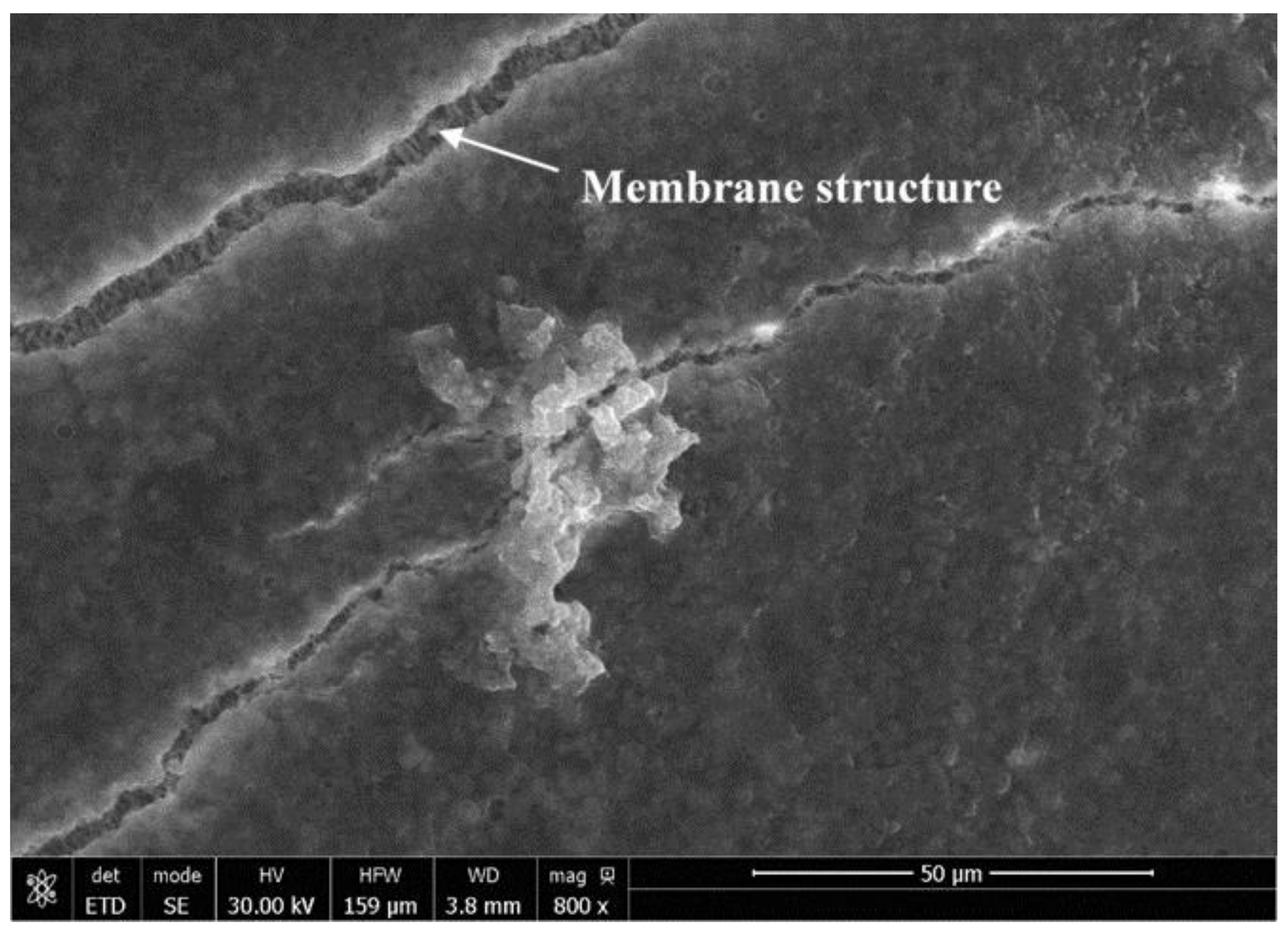 Symmetry 11 00126 g006