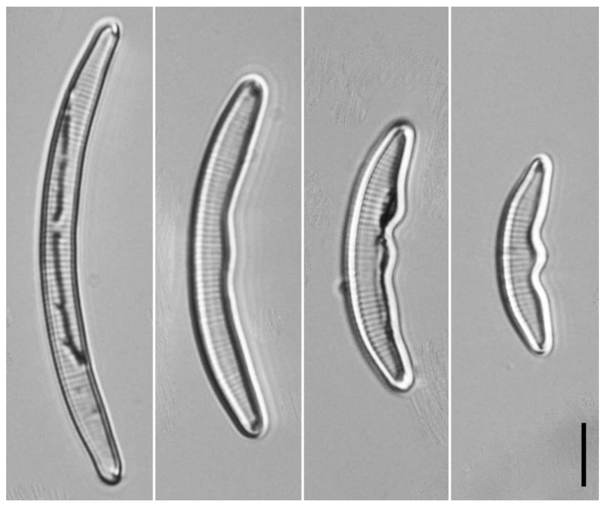 Symmetry 14 00042 g001 Symmetry 14 00042 g001