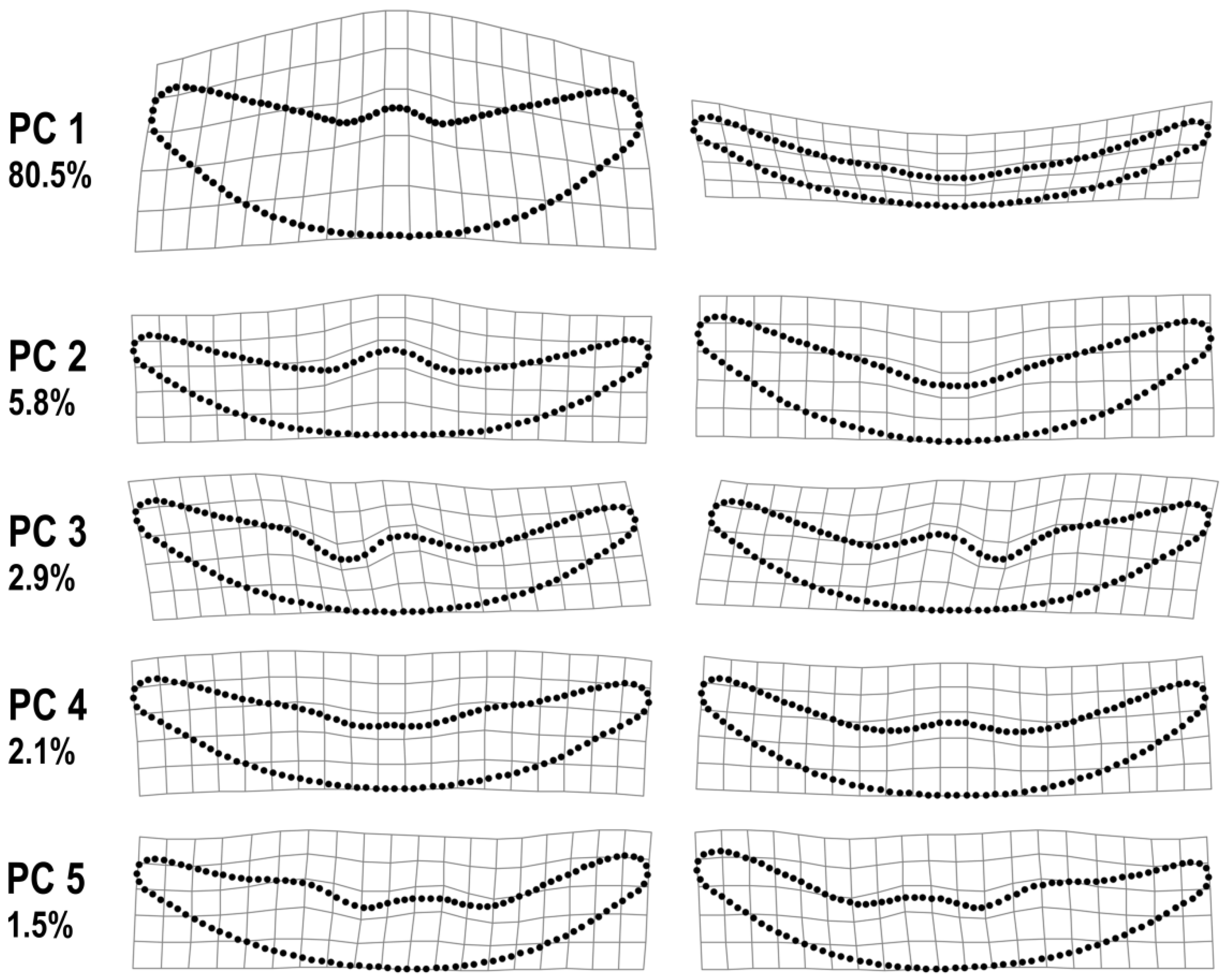 Symmetry 14 00042 g003 Symmetry 14 00042 g003