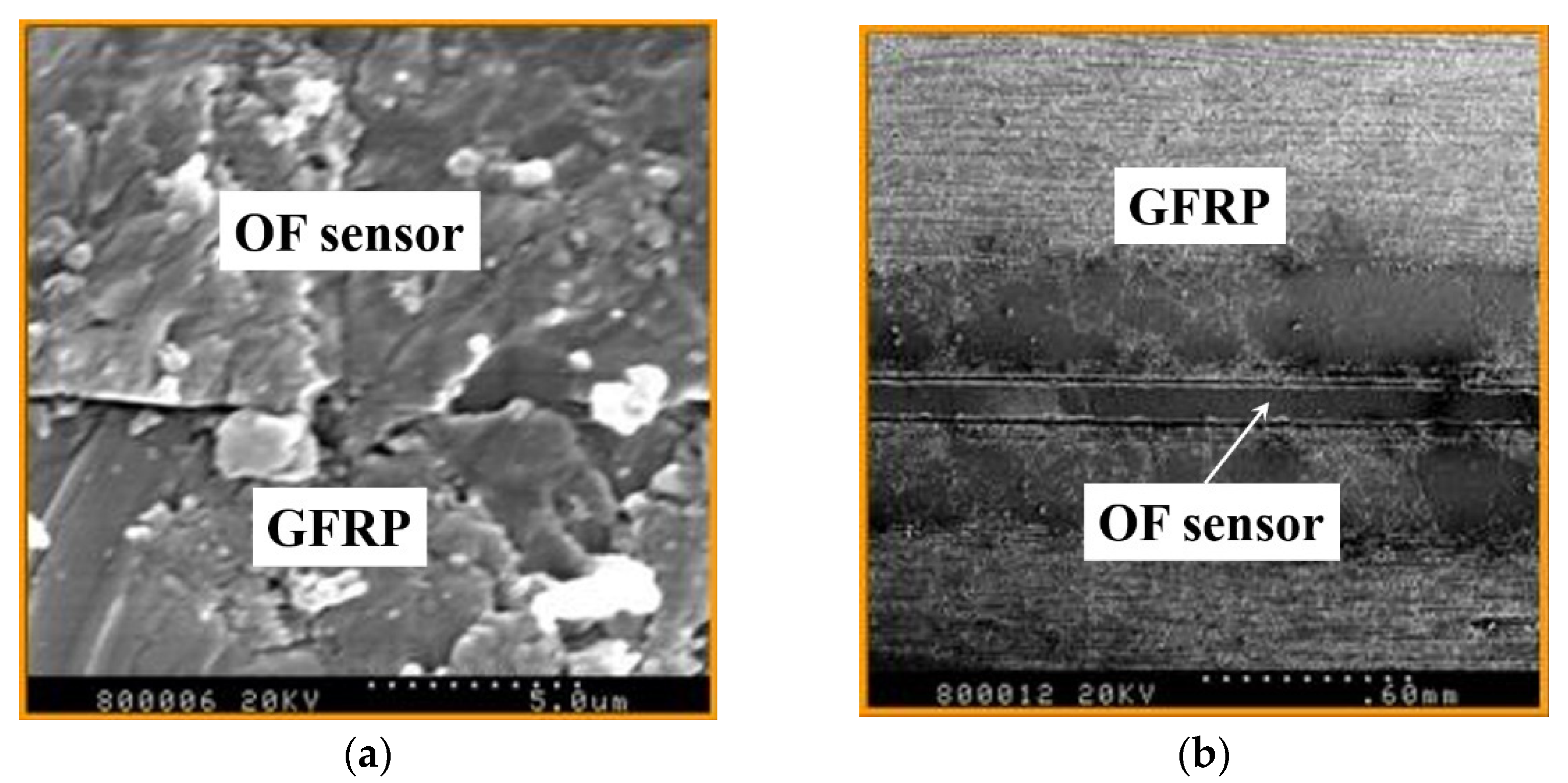 Symmetry 14 00973 g005