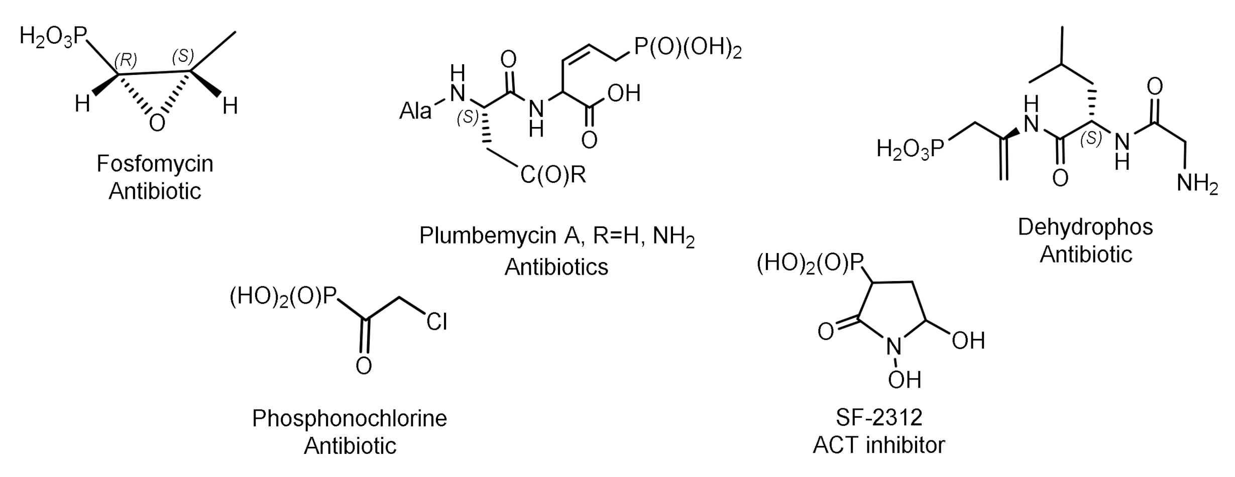 Symmetry 14 01758 g001