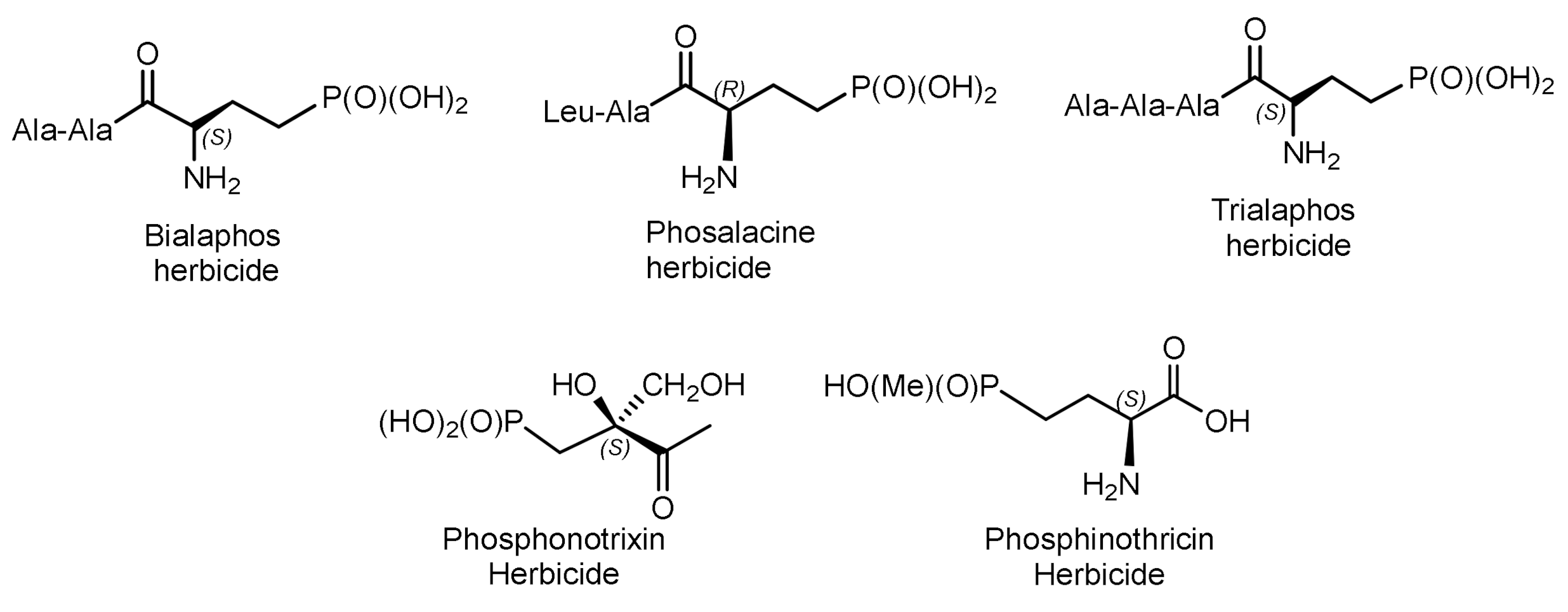 Symmetry 14 01758 g002