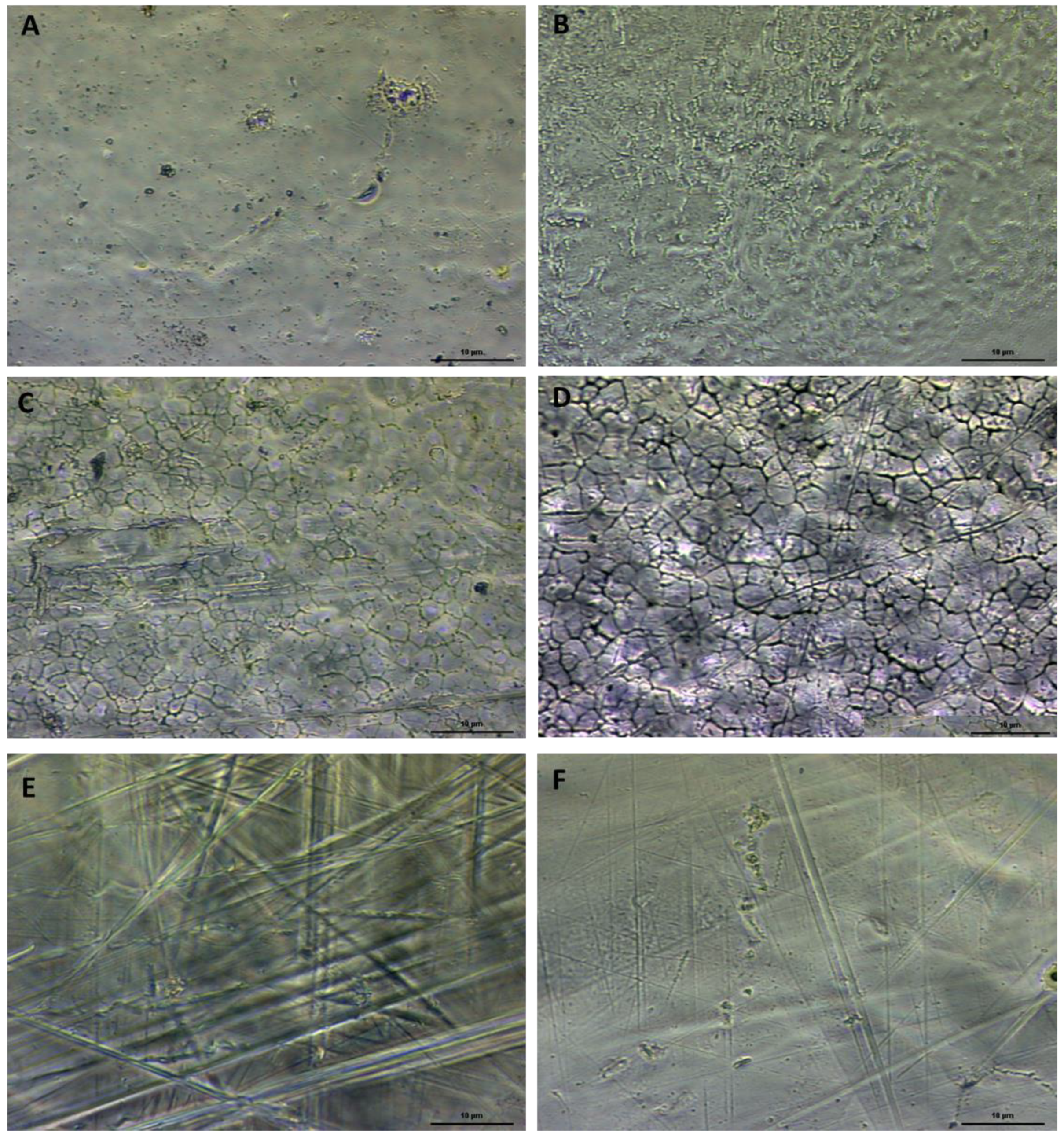 Symmetry 14 02063 g003 Symmetry 14 02063 g003