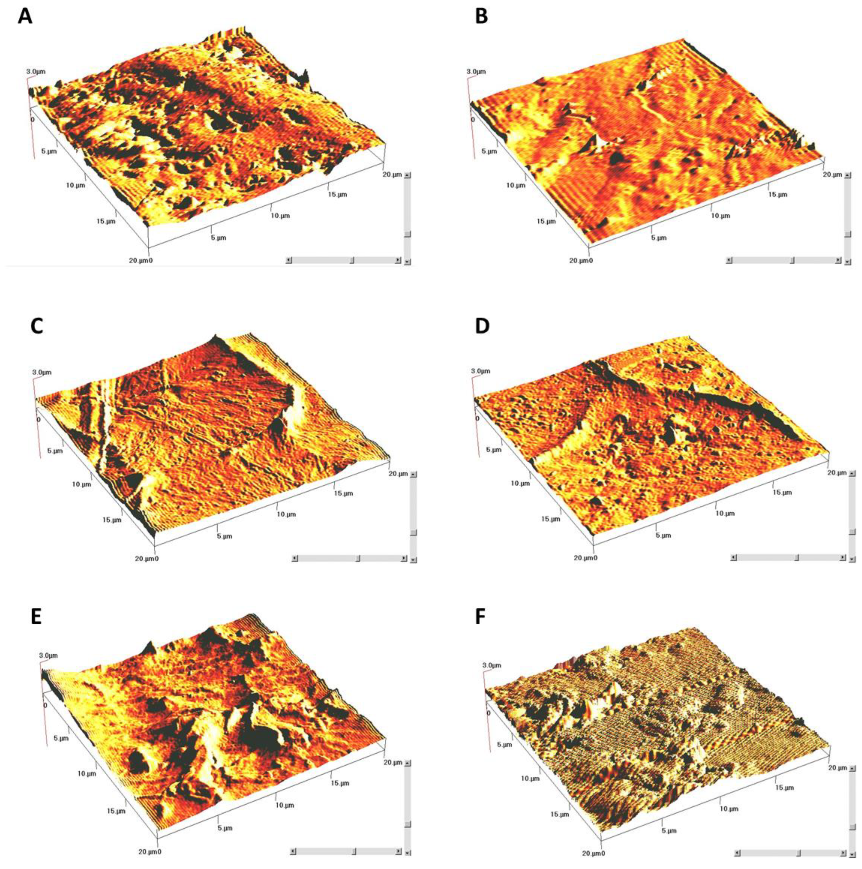 Symmetry 14 02063 g005 Symmetry 14 02063 g005