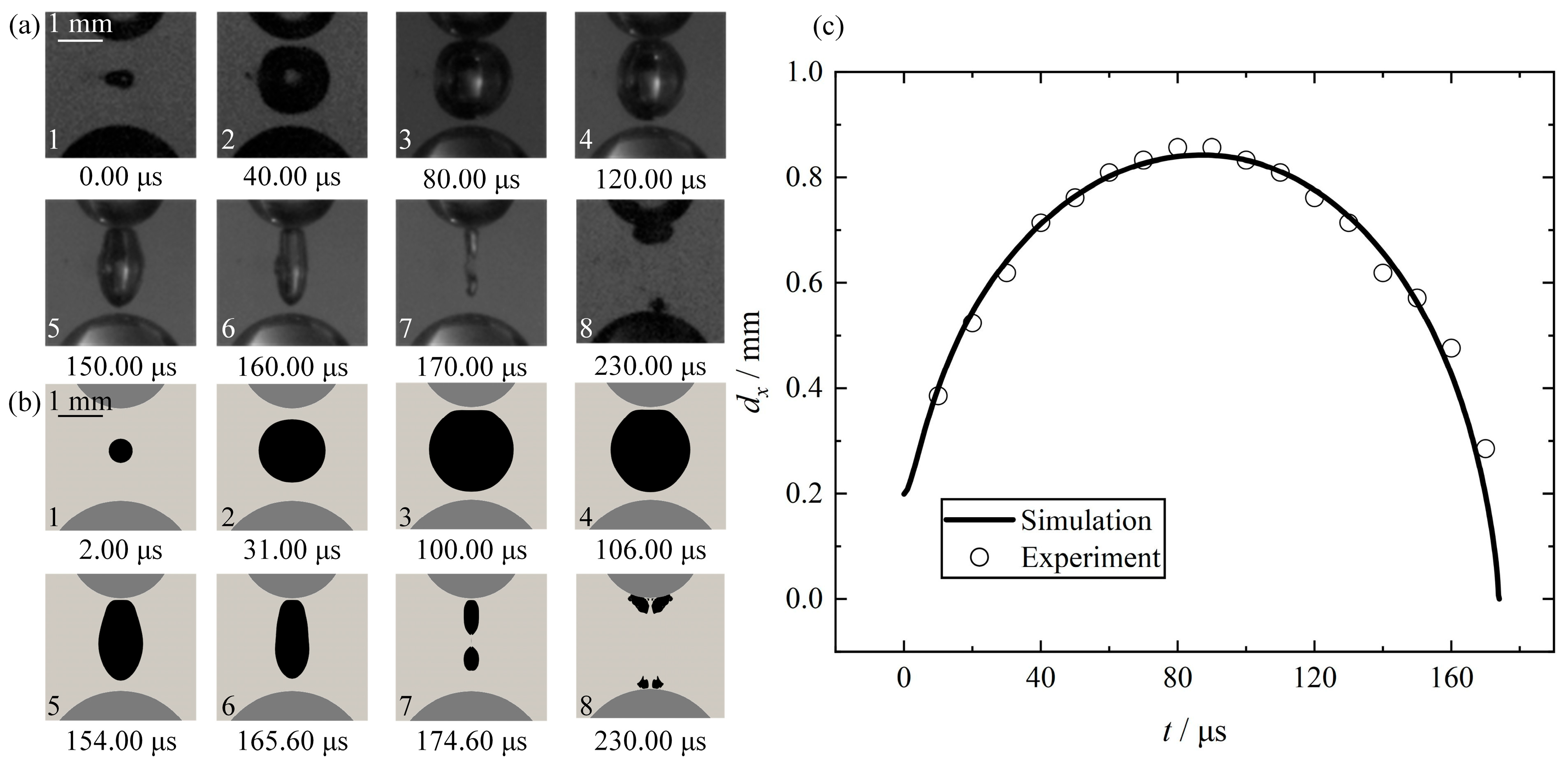 Symmetry 16 00535 g003