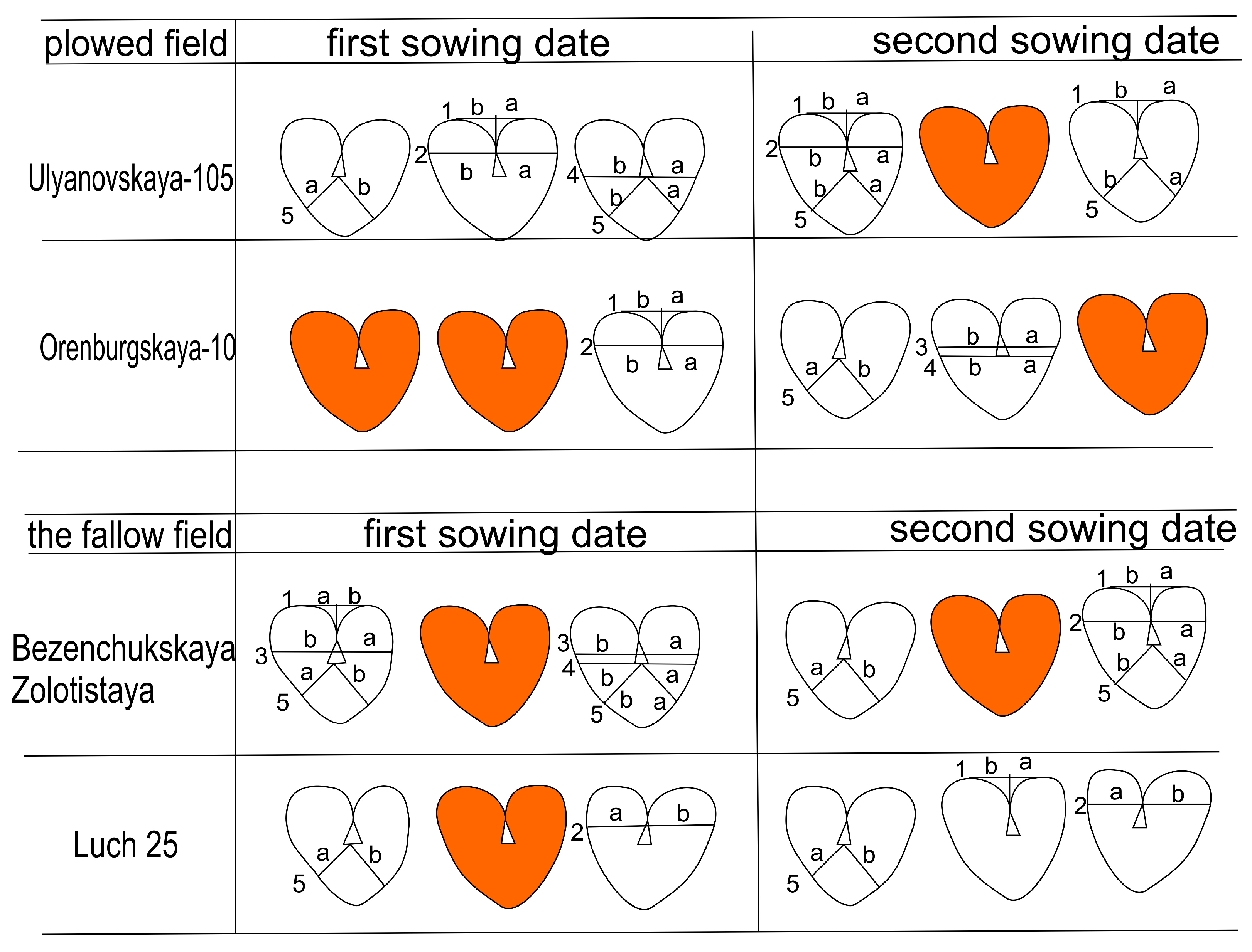 Symmetry 16 00548 g004