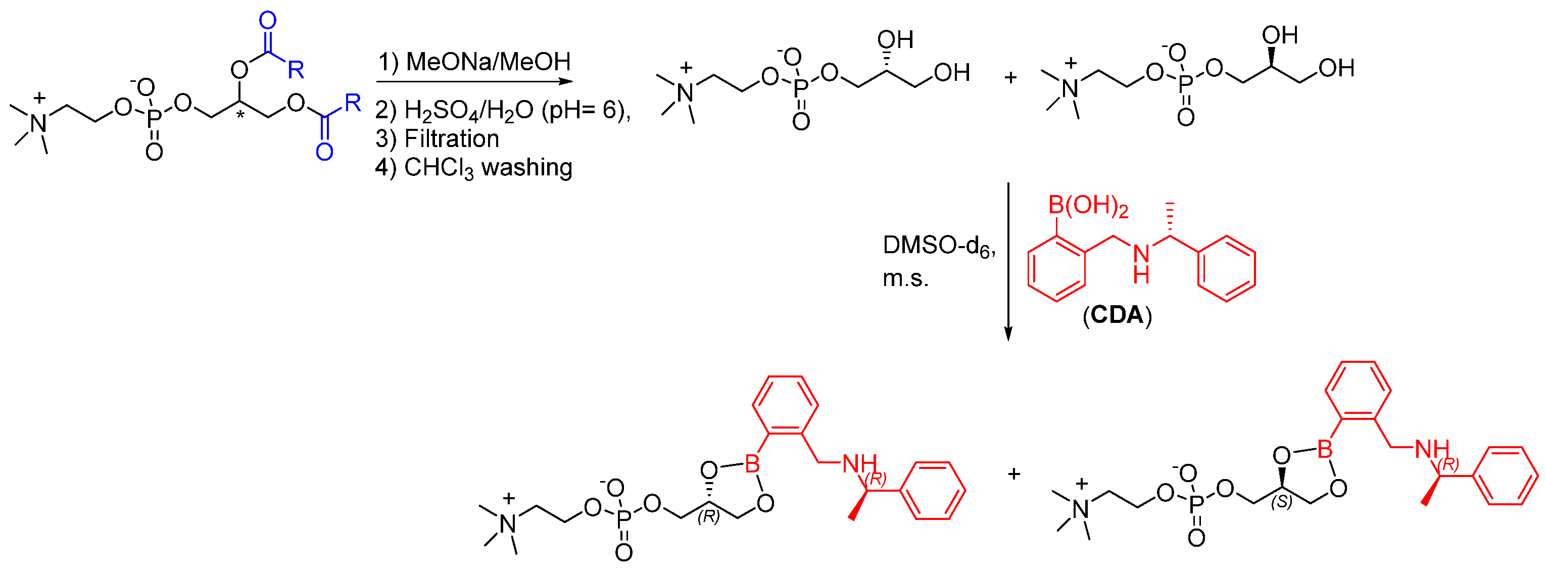 Symmetry 16 00624 sch001
