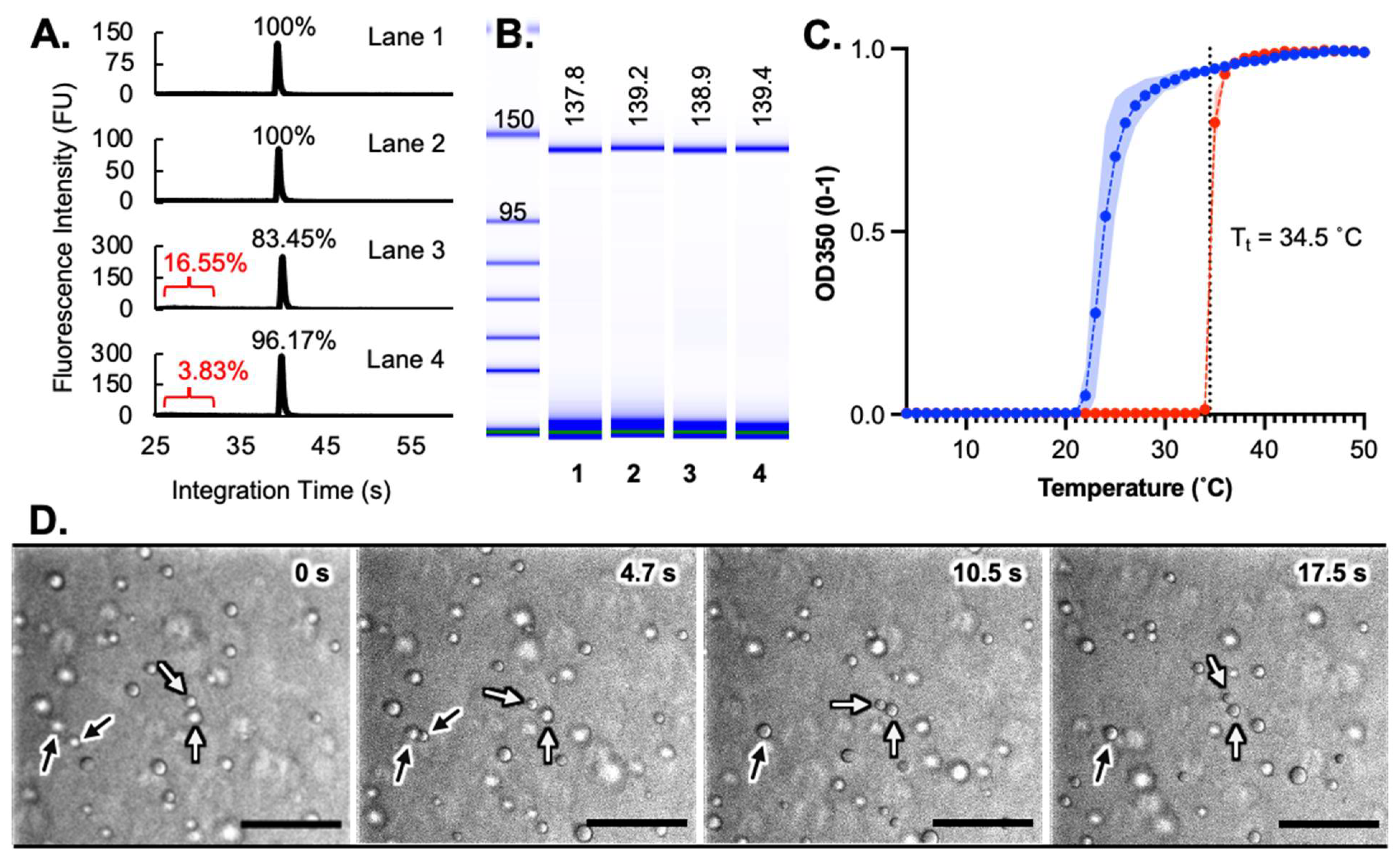 Synbio 02 00010 g004
