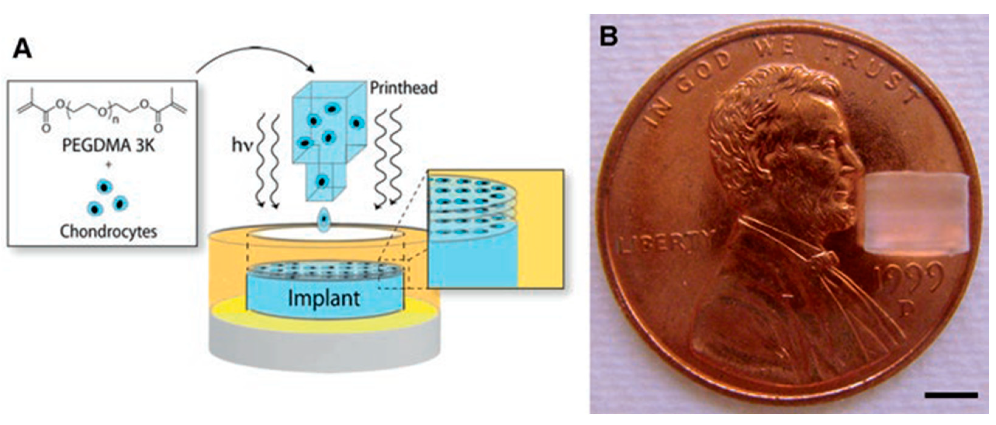 Technologies 10 00108 g010