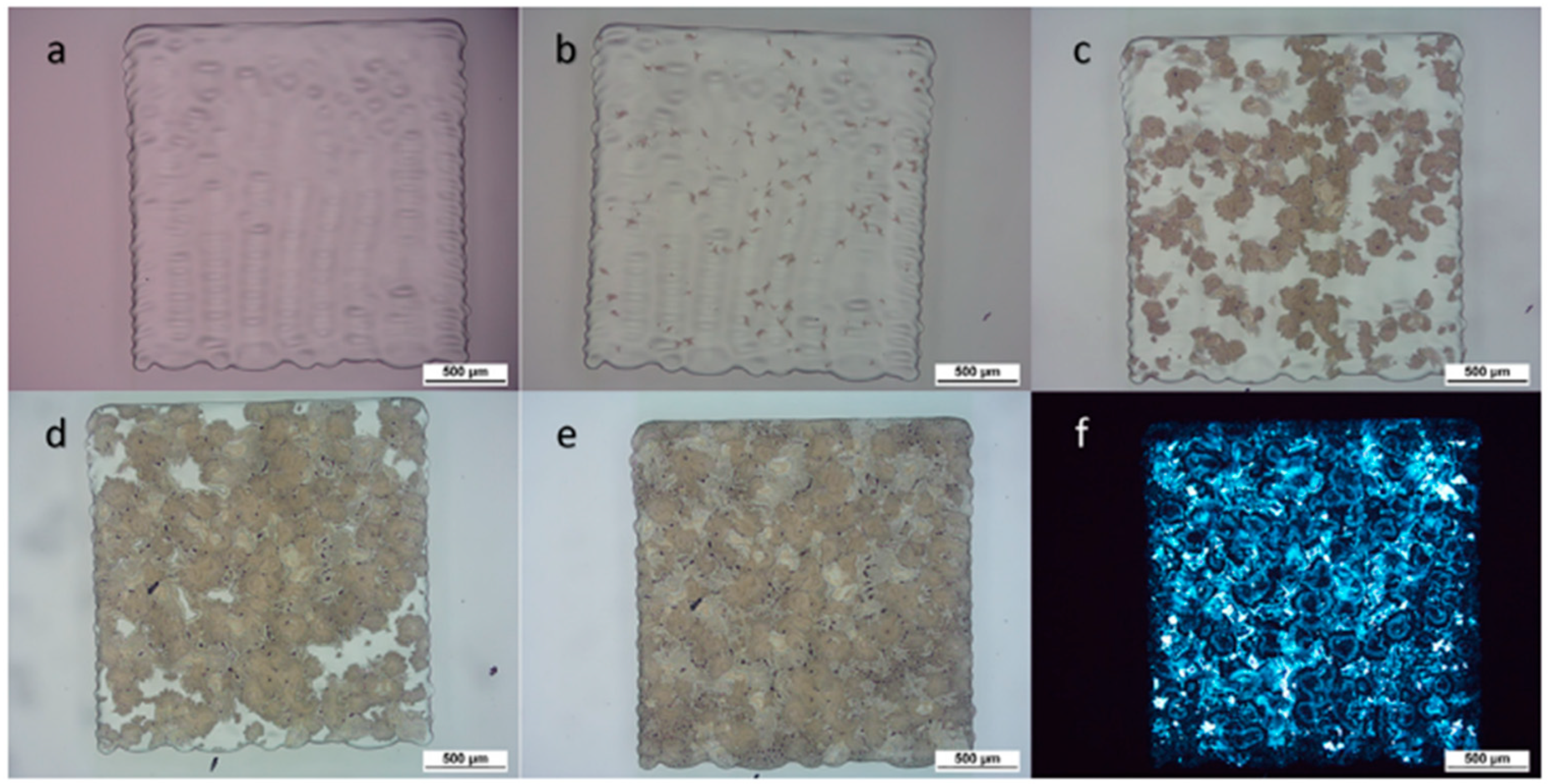 Technologies 10 00108 g012
