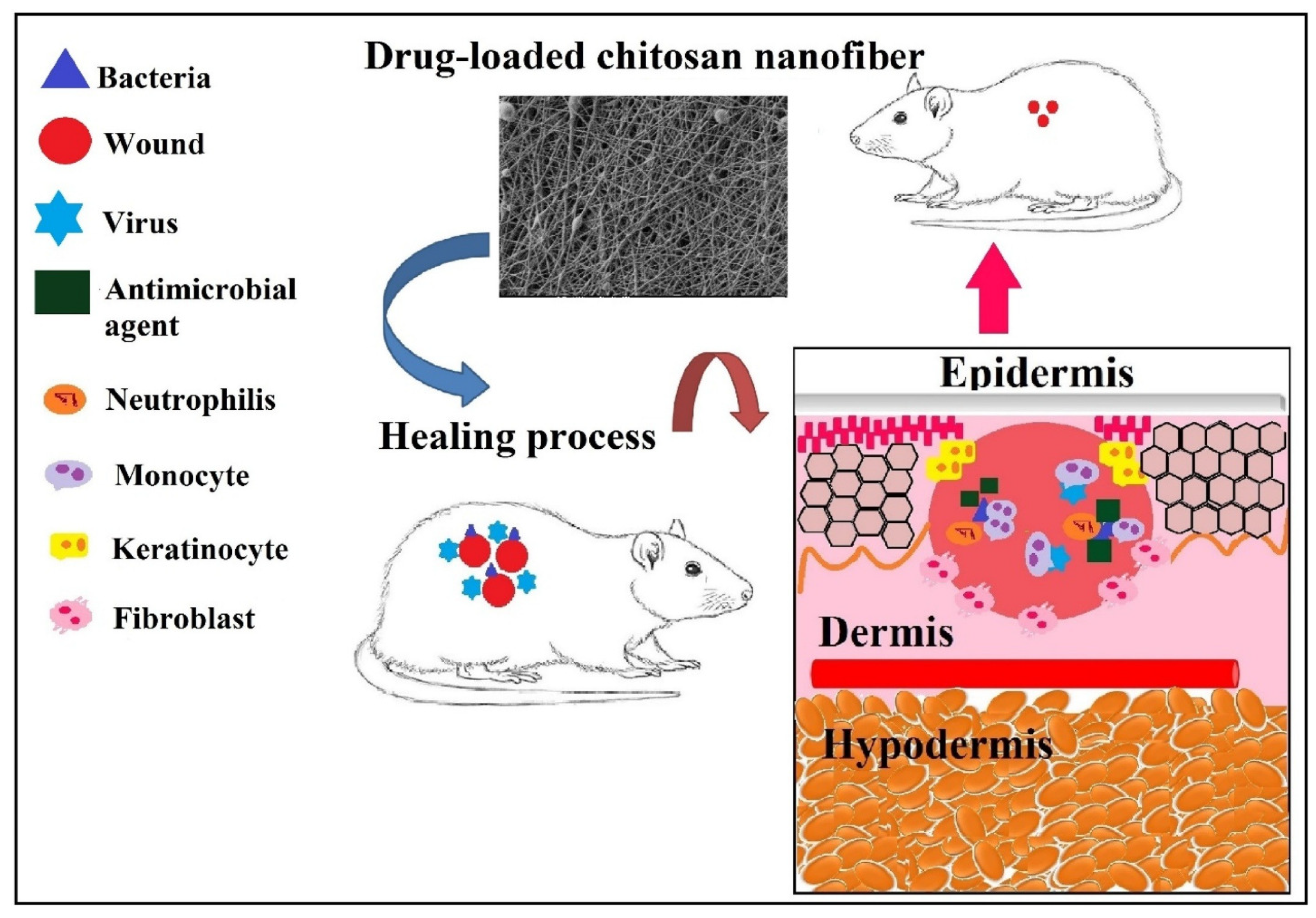Technologies 11 00150 g005
