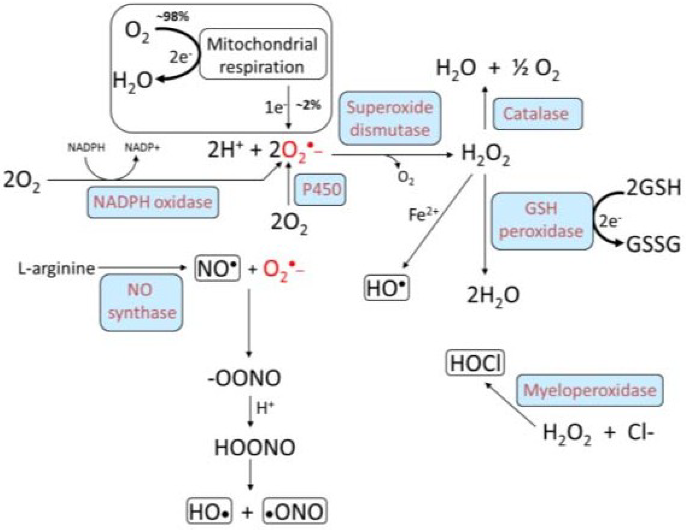Toxics 02 00017 g002