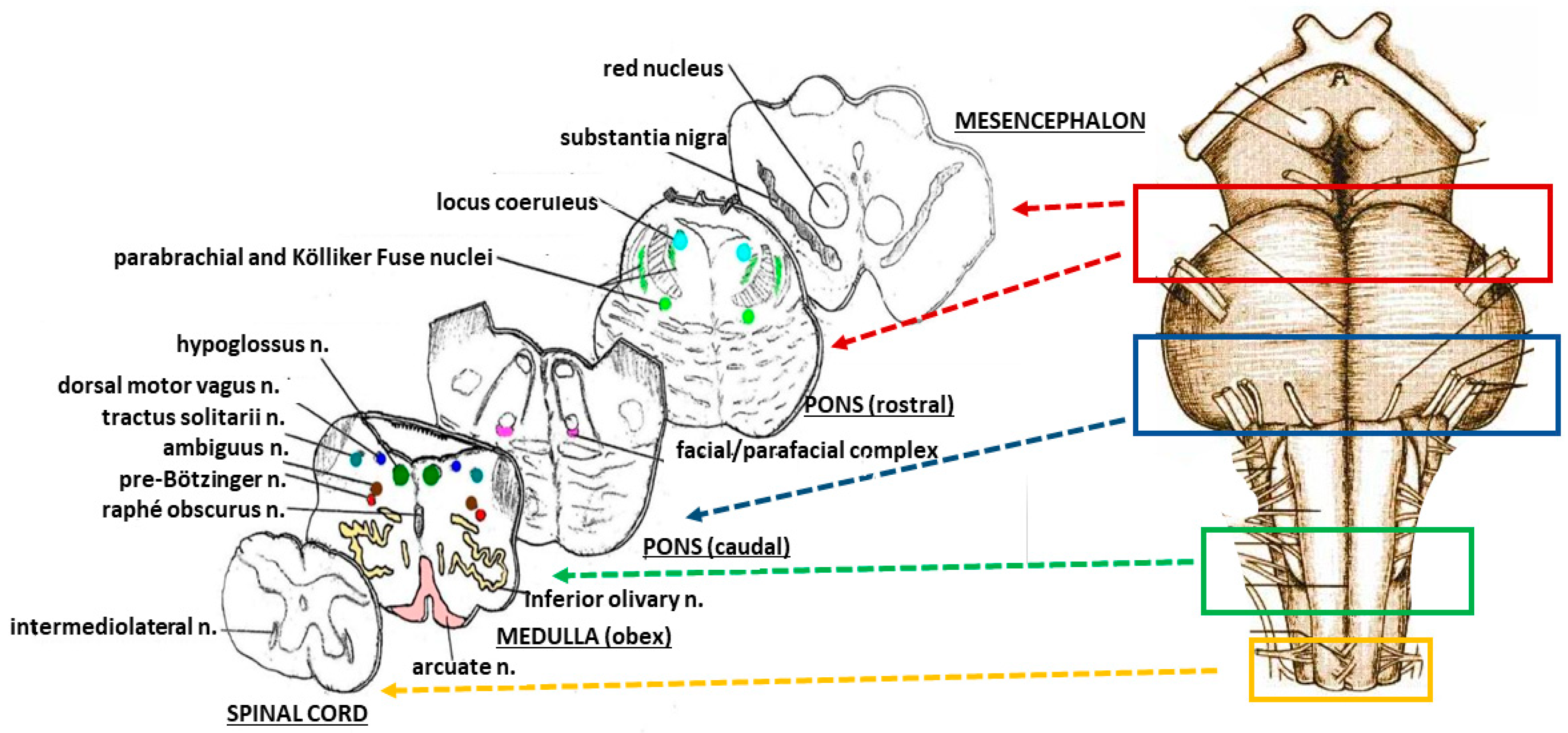 Toxics 06 00063 g001