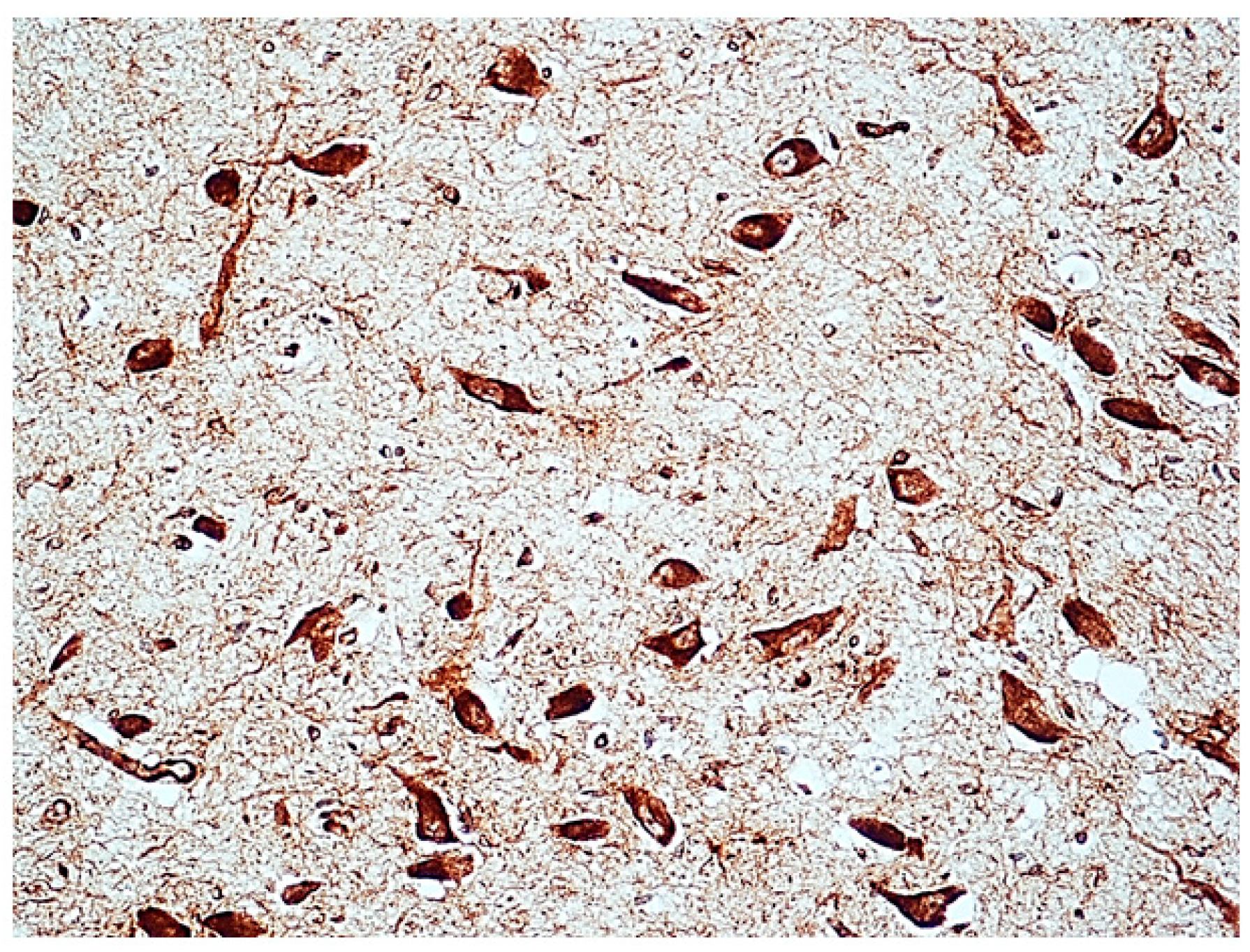 Toxics 06 00063 g003