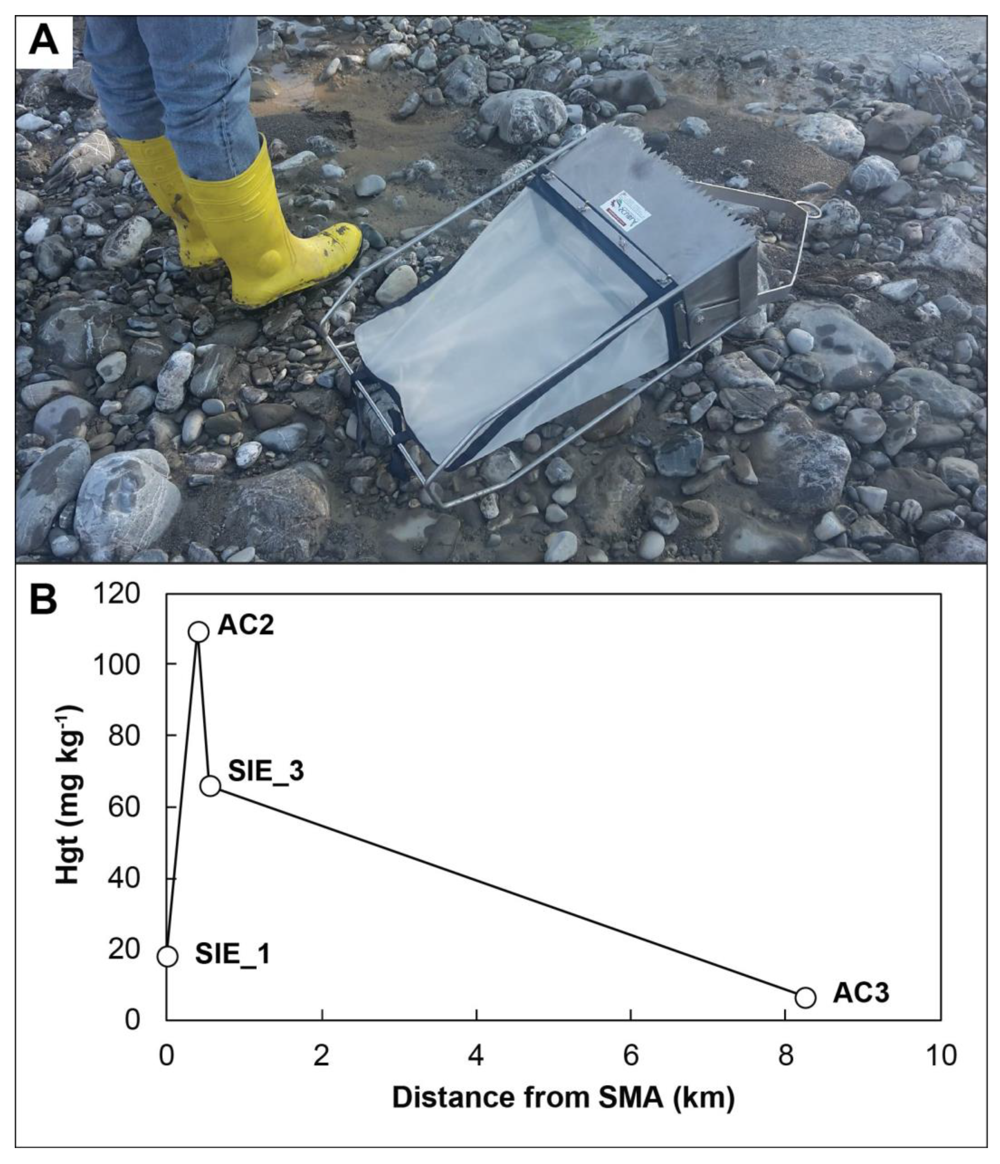Toxics 10 00395 g003
